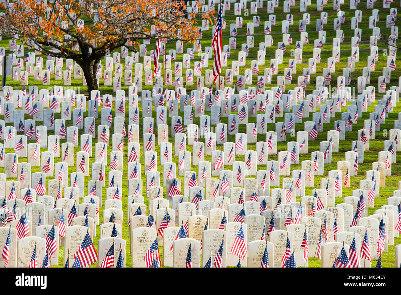 Cimetière militaire américain avec des pierres tombales en marbre blanc et des drapeaux américains Banque D'Images