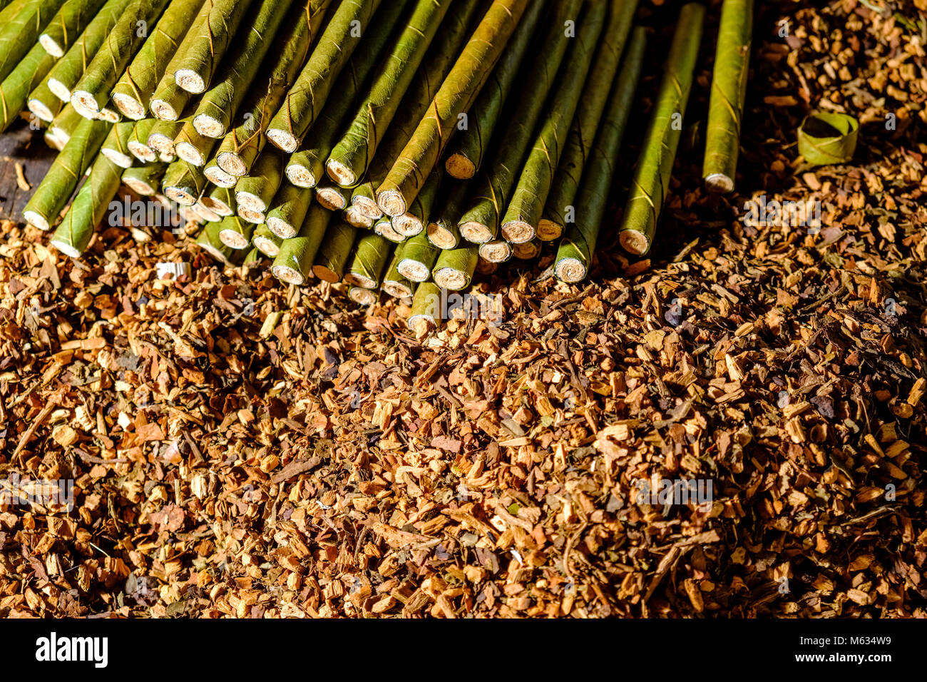 L'Cheerot, un cigare, est fabriqué par les femmes du village d'Ywama sur une île sur le lac Inle Banque D'Images
