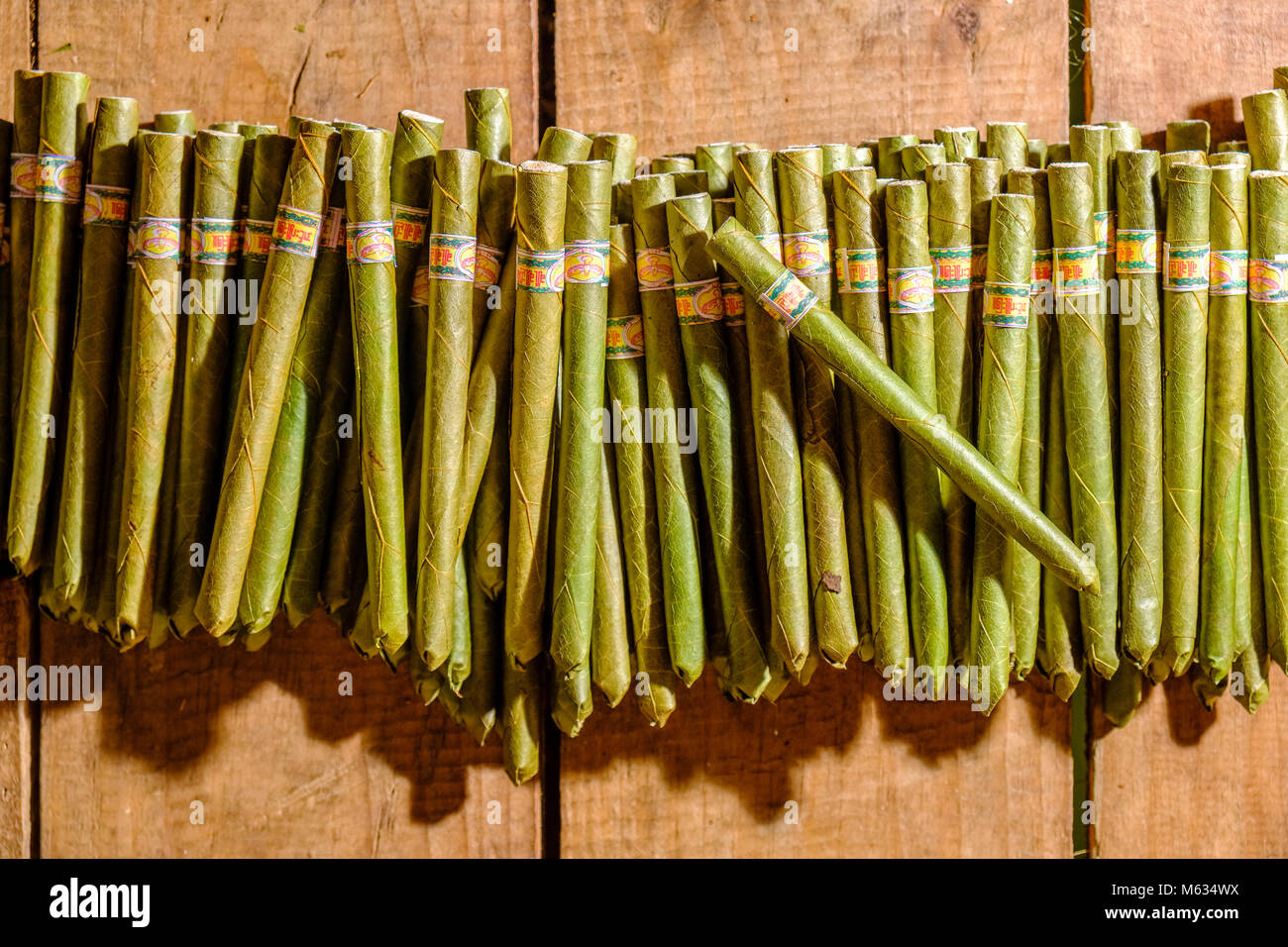 L'Cheerot, un cigare, est fabriqué par les femmes du village d'Ywama sur une île sur le lac Inle Banque D'Images