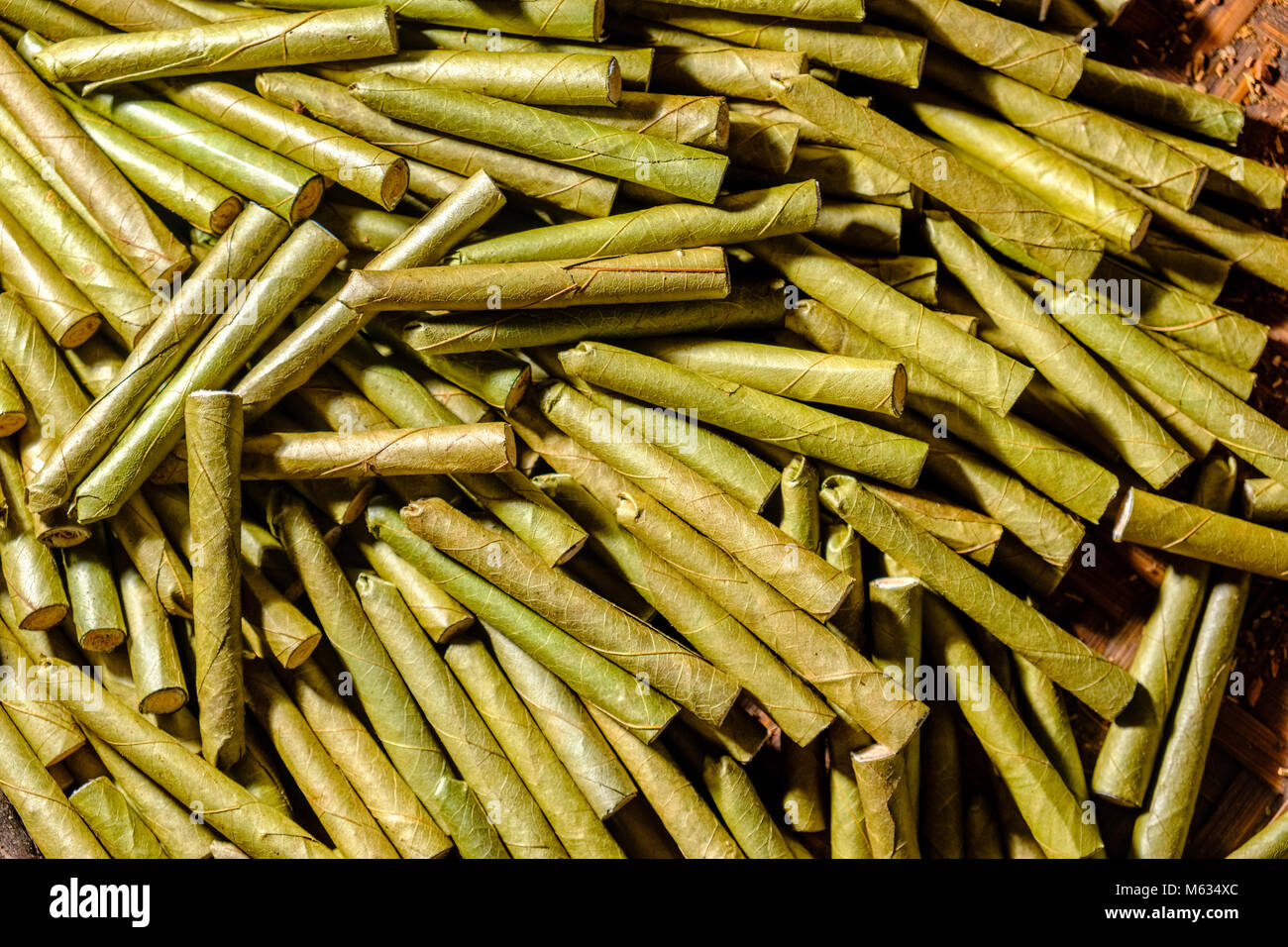L'Cheerot, un cigare, est fabriqué par les femmes du village d'Ywama sur une île sur le lac Inle Banque D'Images