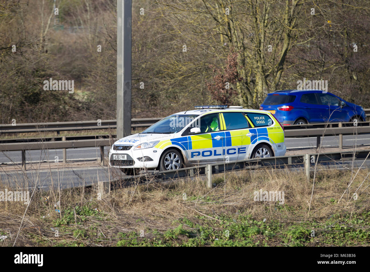 Unité de chiens policiers qui se déplacent le long de l'A45 à la périphérie de Northampton, Royaume-Uni Banque D'Images