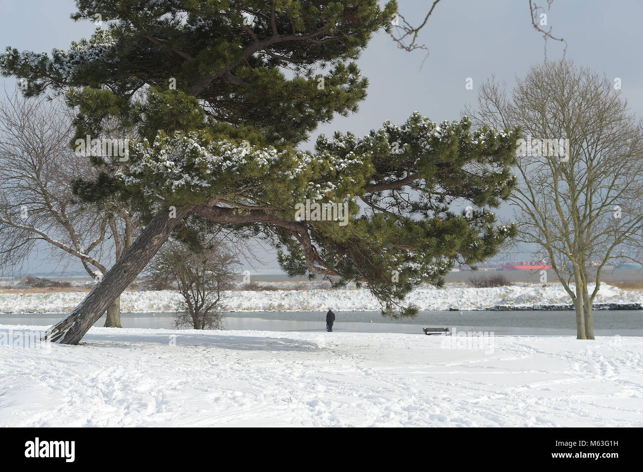 Coalhouse Fort est, Tilbury. 28 Février, 2018. Météo France : avec les écoles fermées pour la journée personnes dévalent les pentes à Coalhouse Fort Tilbury East Essex à tirer le meilleur parti de la lourde neige pendant la nuit. Crédit : MARTIN DALTON/Alamy Live News Banque D'Images