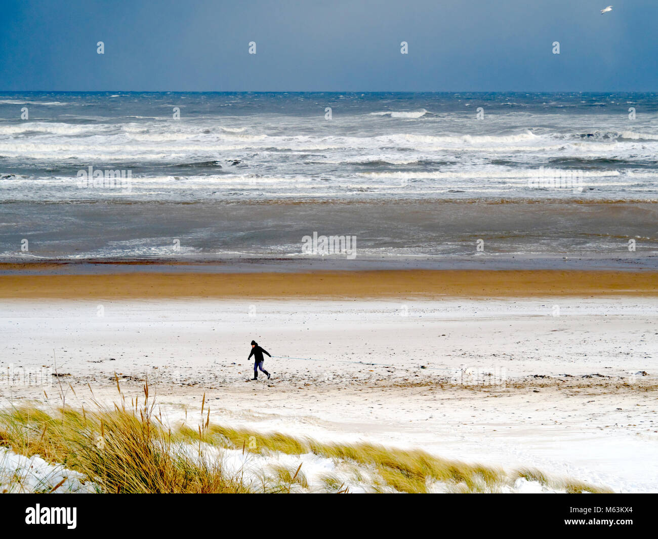 Marske by the Sea North Yorkshire UK 28 février 2018 Météo France. Conditions de neige continue avec un fort vent d'est faire pour des conditions froides pour les gens marcher les chiens sur la plage. Nuages noirs sur l'horizon s'acquitter d'autres chutes de neige à venir. Crédit : Peter Jordan NE/Alamy Live News Banque D'Images