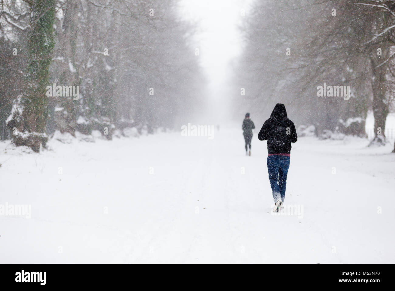 Celbridge, Kildare, Irlande. 28 févr. 2018 Irlande : la météo. Bête de l'est hits villages irlandais. La neige lourde chute de Meknès. Les gens de la marche et de la course dans le parc de Castletown Celbridge. Banque D'Images