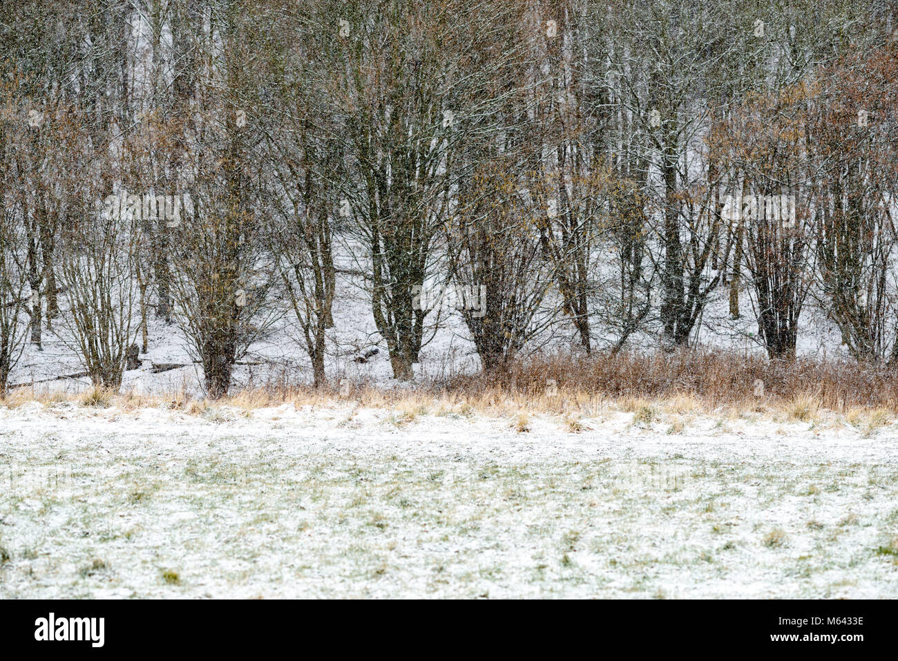 Hucknall, Dorset, UK : 28 février 2018.La nuit neige avec des averses de neige fraîche par hors du jour dans certaines régions d'Amérique du Notts. Crédit : Ian Francis/Alamy Live News Banque D'Images