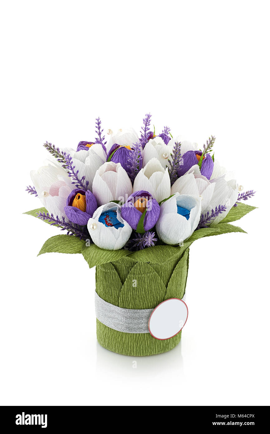 Tulipes papier isolé sur fond blanc Banque D'Images