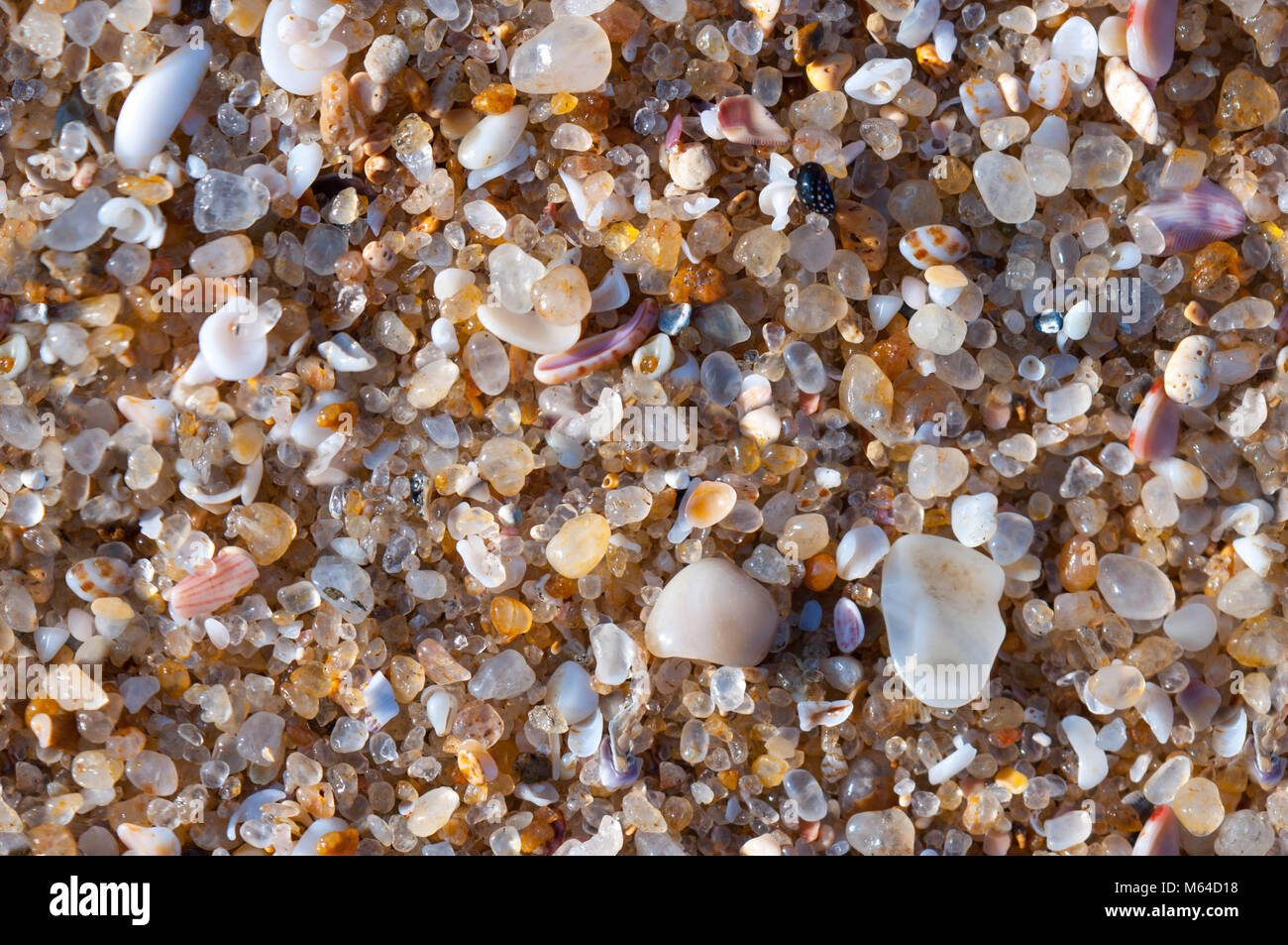 La texture de sable ou de galets colorés. Seamless texture Banque D'Images