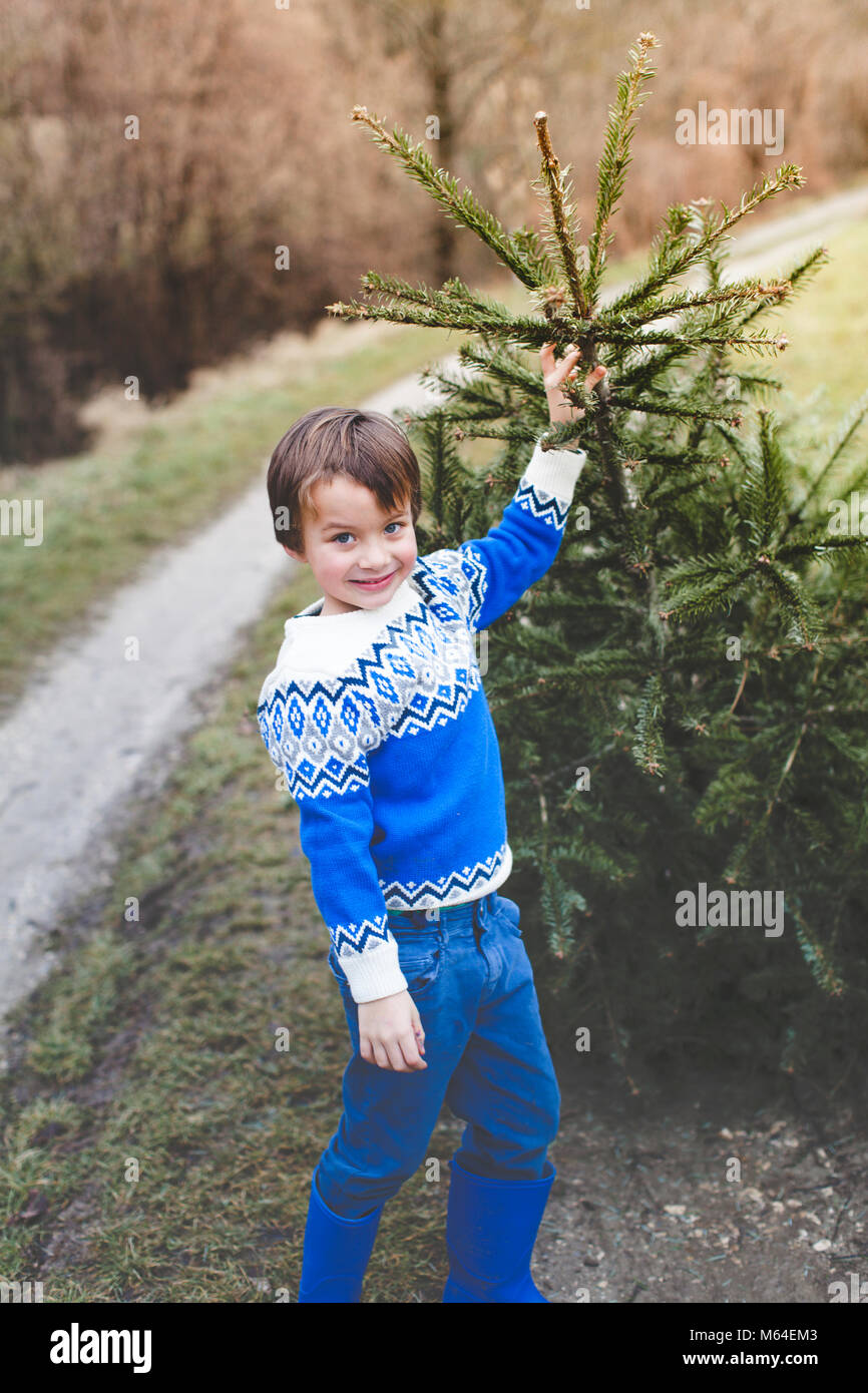 Les jeunes, garçon blond tire un vieux arbre de Noël pour knut Banque D'Images