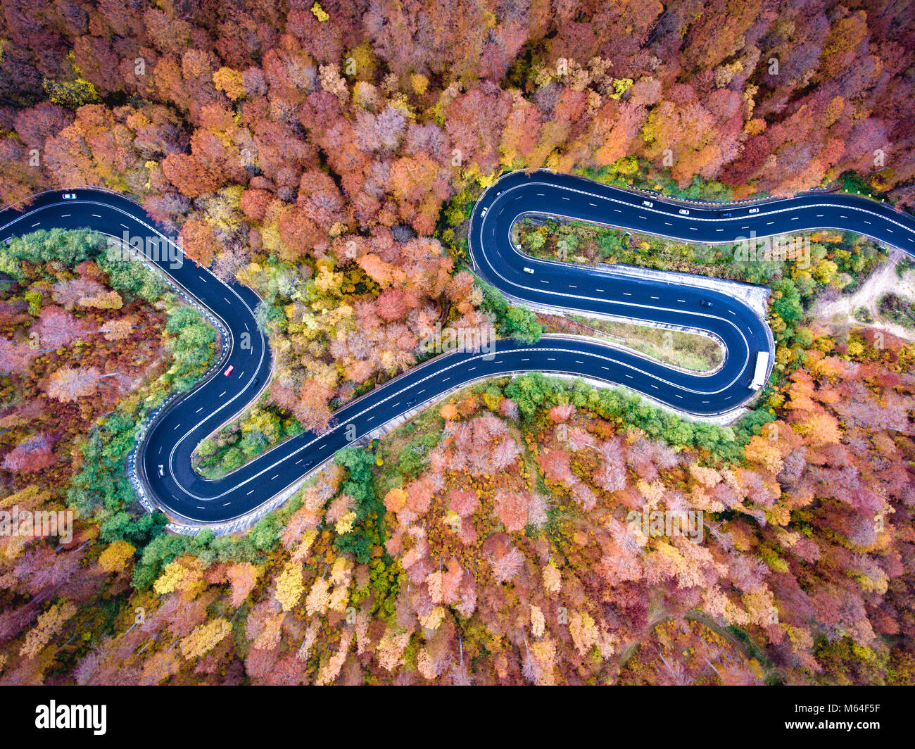 Courbes sinueuses aérienne creux de la route de la forêt. Bonjour le col de montagne en Transylvanie, Roumanie. Banque D'Images
