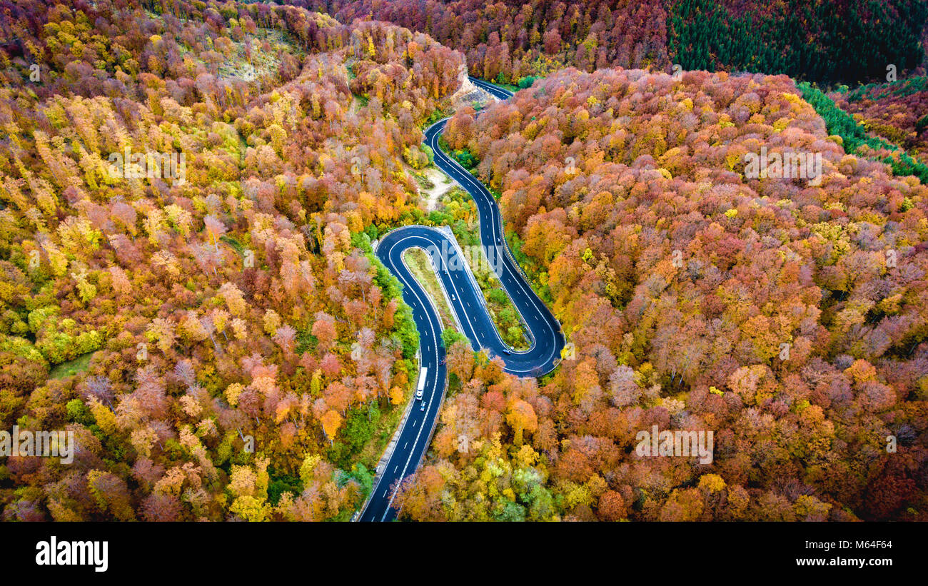 Route sinueuse à travers la forêt. Bonjour le col de montagne en Transylvanie, Roumanie. Vue aérienne d'un drone. Banque D'Images