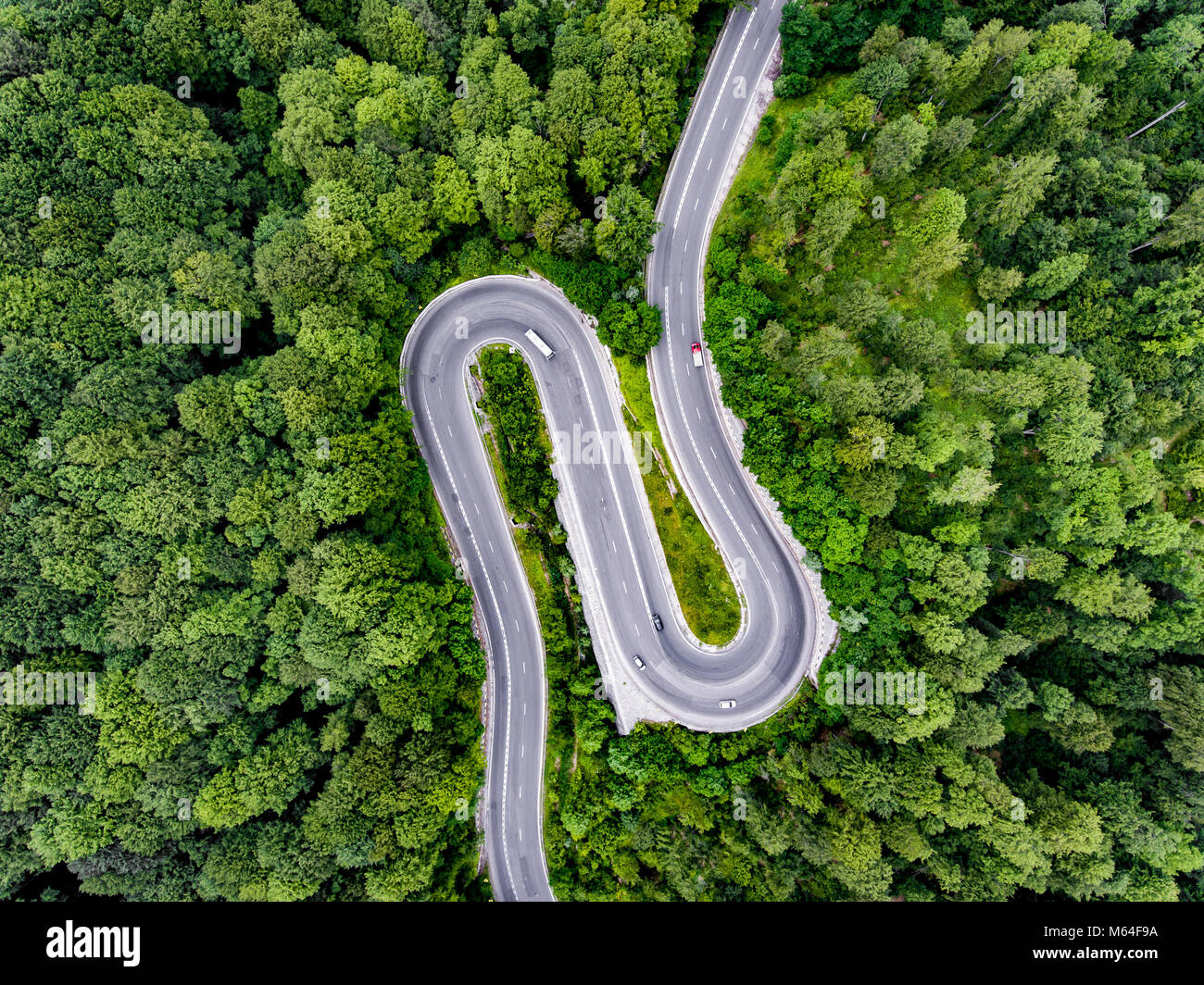 L'épingle à cheveux tour route sinueuse à travers la forêt Banque D'Images