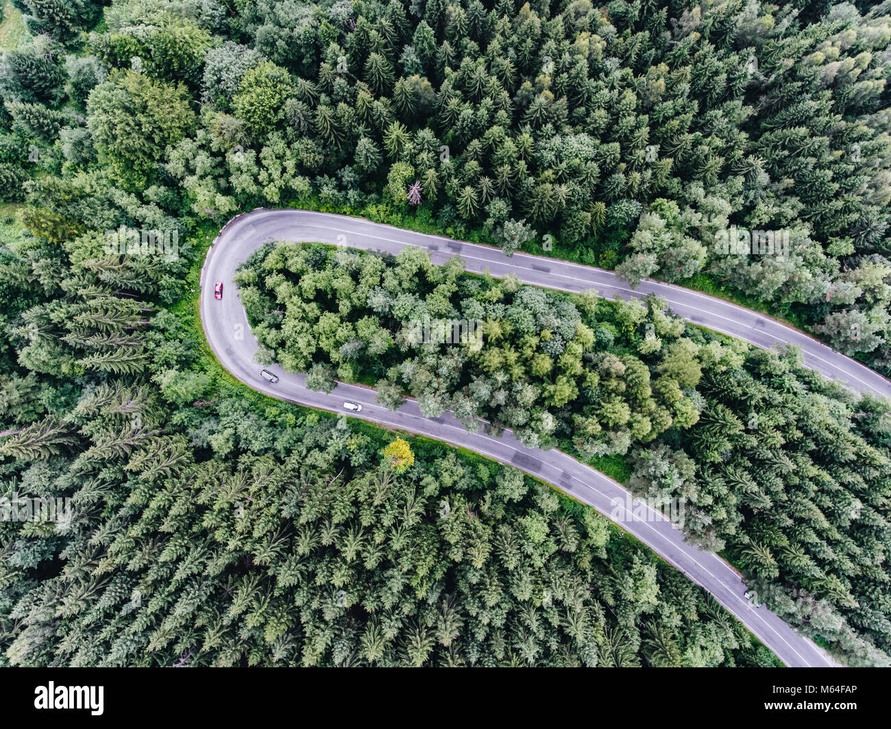 Route forestière d'en haut Banque D'Images