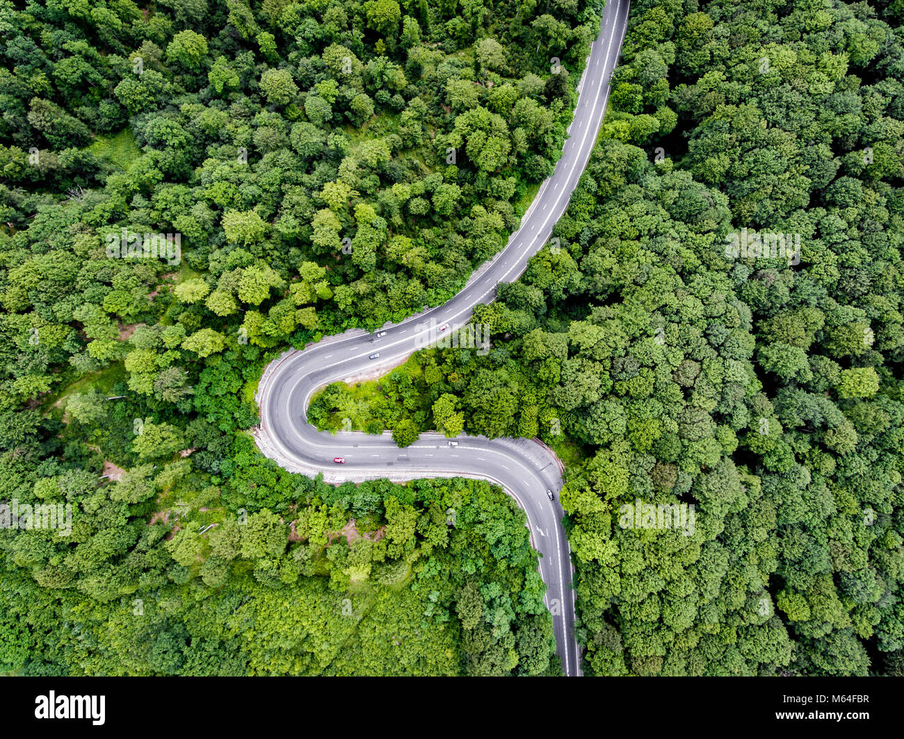 Route courbée à travers la forêt vue d'en haut Banque D'Images