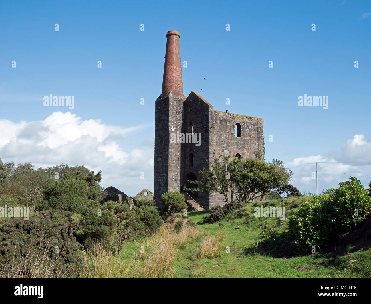 Prince de Galles Engine House, Phoenix United Mine Banque D'Images