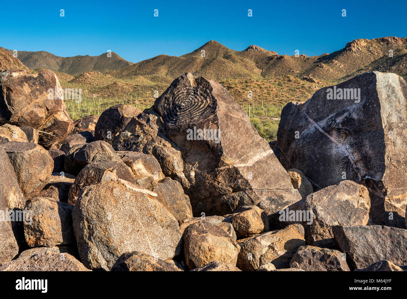 Pétroglyphes à Signal Hill, Scenic Bajada Loop Drive, Tucson Mountain District, Saguaro National Park, désert de Sonora, en Arizona, USA Banque D'Images