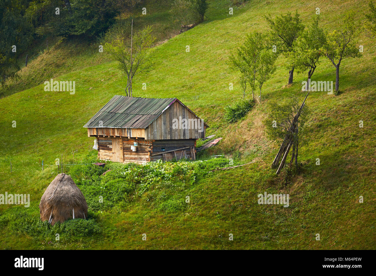 Ancienne grange en bois rustique sur pré vert à col Rucar-Bran, Brasov county, région de Transylvanie, en Roumanie. Campagne de printemps paysage. Banque D'Images