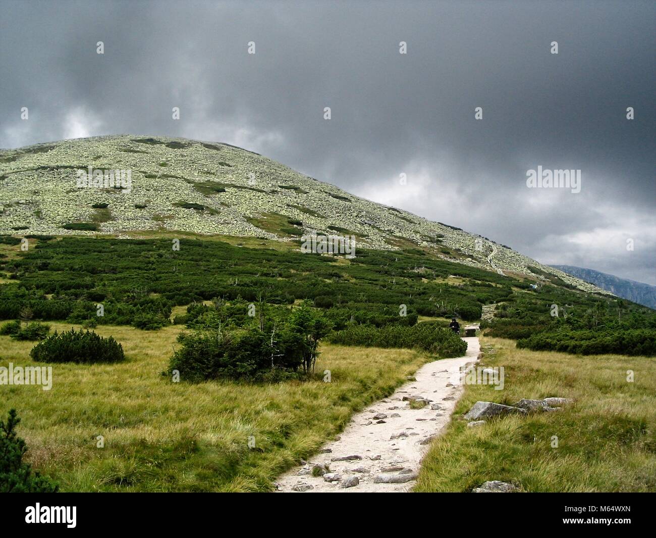 Stony Hill avec de la végétation verte et sentier pierreux sous forte pluie nuages Banque D'Images