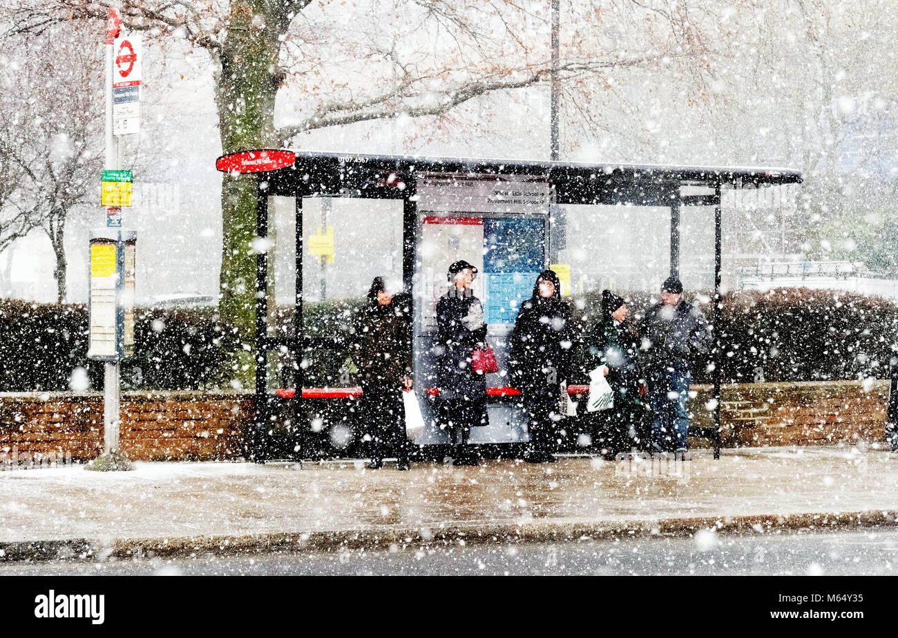 Montre : Pic de la neige et des températures de gel dans le nord de Londres aujourd'hui gel arrêt de bus pour les personnes âgées photo par Gavin Rodgers/ Pixel8000 Banque D'Images