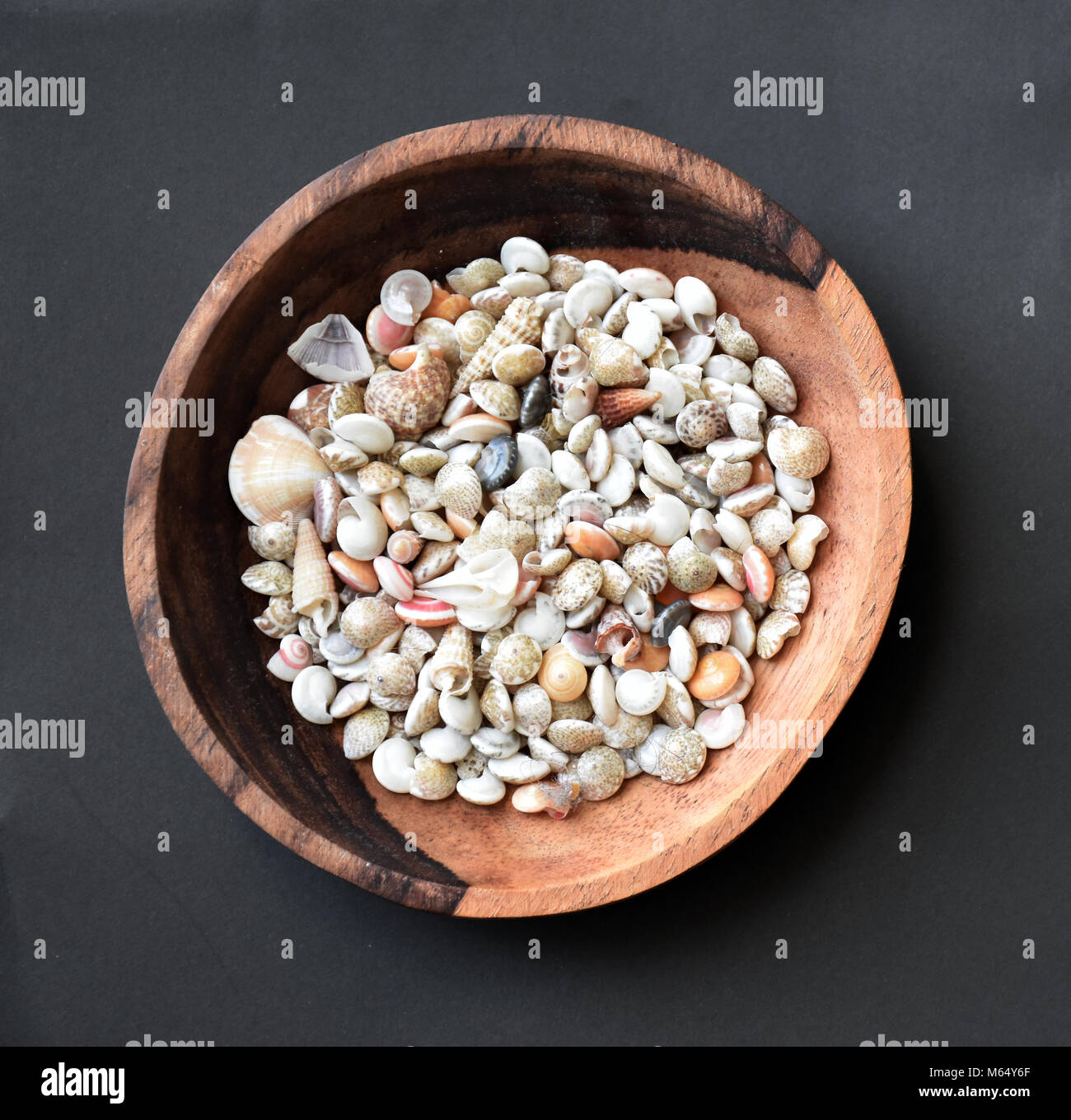 Mini coquillages recueillis d'une plage au Vietnam affiche dans un petit bol en bois sculpté à la main. Banque D'Images