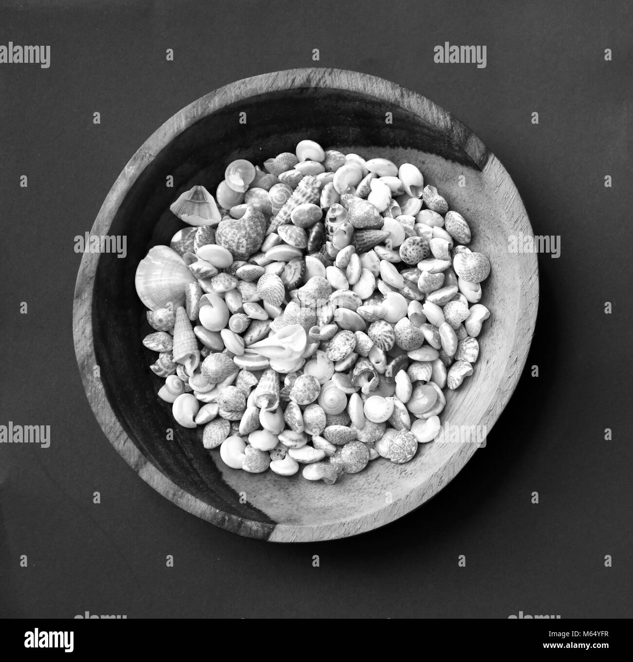 Mini coquillages recueillis d'une plage au Vietnam affiche dans un petit bol en bois sculpté à la main. Banque D'Images