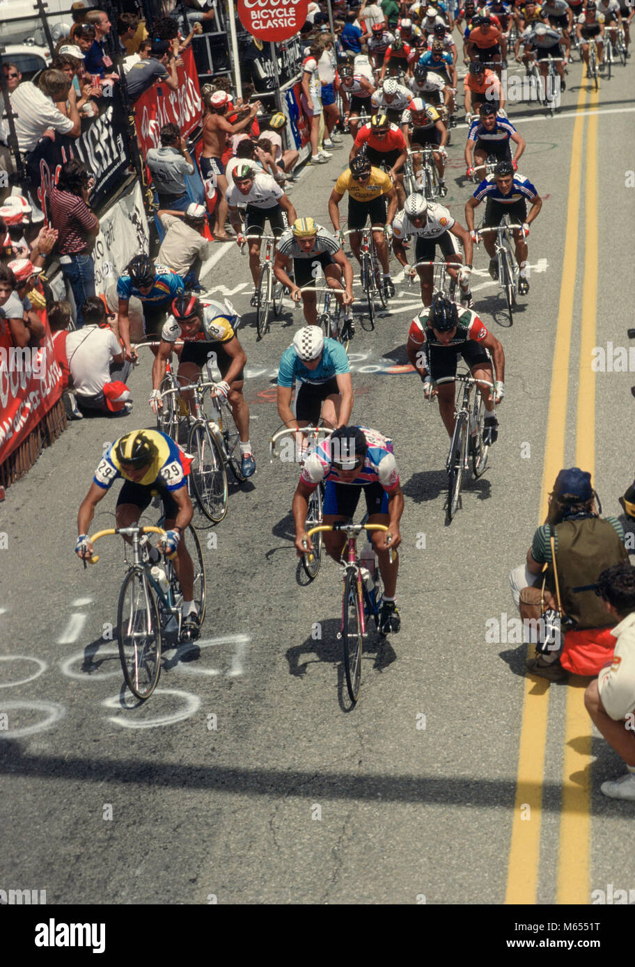 Le peloton cycliste professionnelle dont le français Bernard Hinault (8), Doug Shapiro, deuxième rangée, droite, Davis Phinney, maillot jaune, à la Coors Classic International Bicycle bicycle race le 12 août 1985 à Boulder, CO. Photo par Francis Specker Banque D'Images