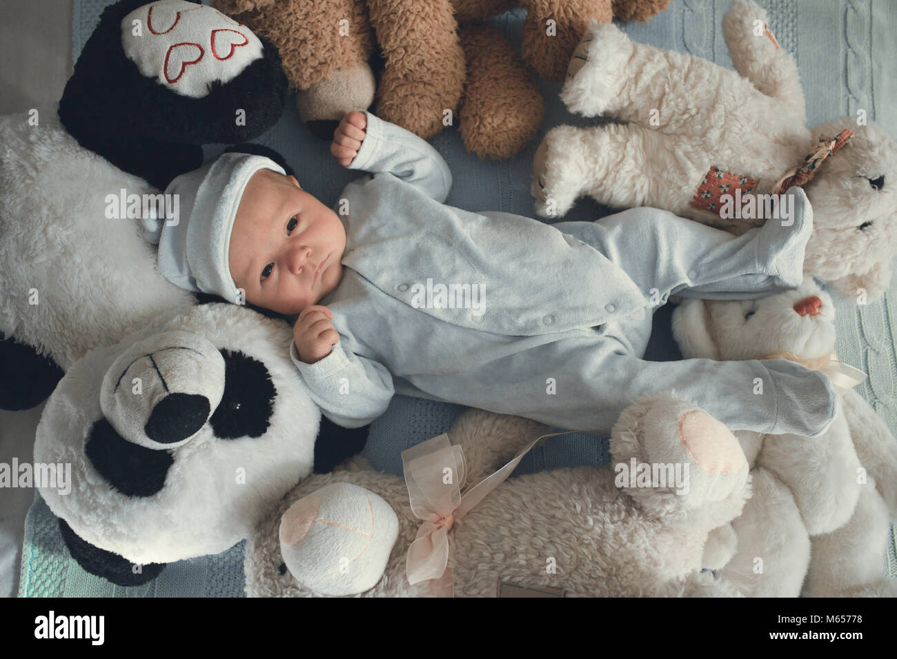 Bebe Nouveau Ne Pose Avec Cinq Nounours On Blanket Photo Stock Alamy