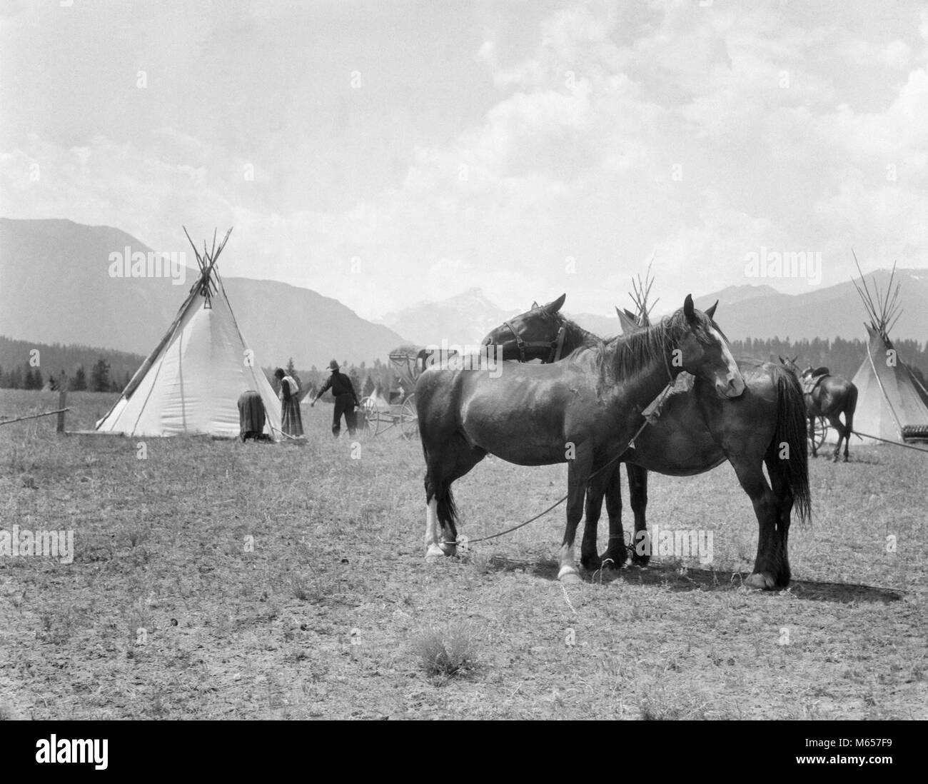 Années 1920 DEUX CHEVAUX TOILETTAGE PERMANENT CHAQUE AUTRES côte à côte dans le village de Pieds-noirs BRITISH COLUMBIA CANADA - i141 HAR001 MAMMIFÈRES HARS CANADIAN COLUMBIA TIPI TEPEE CONNEXION NATIVE AMERICAN COOPÉRATION COMPORTEMENT AFFECTION AMÉRICAINS INDIGÈNES Mammifères Mâles TIPIS B&W NOIR ET BLANC CHAQUE PANNE D'autres de l'avant vers l'arrière à l'ANCIENNE MUTUELLE PERSONNES DES TIPIS WIGWAM Banque D'Images