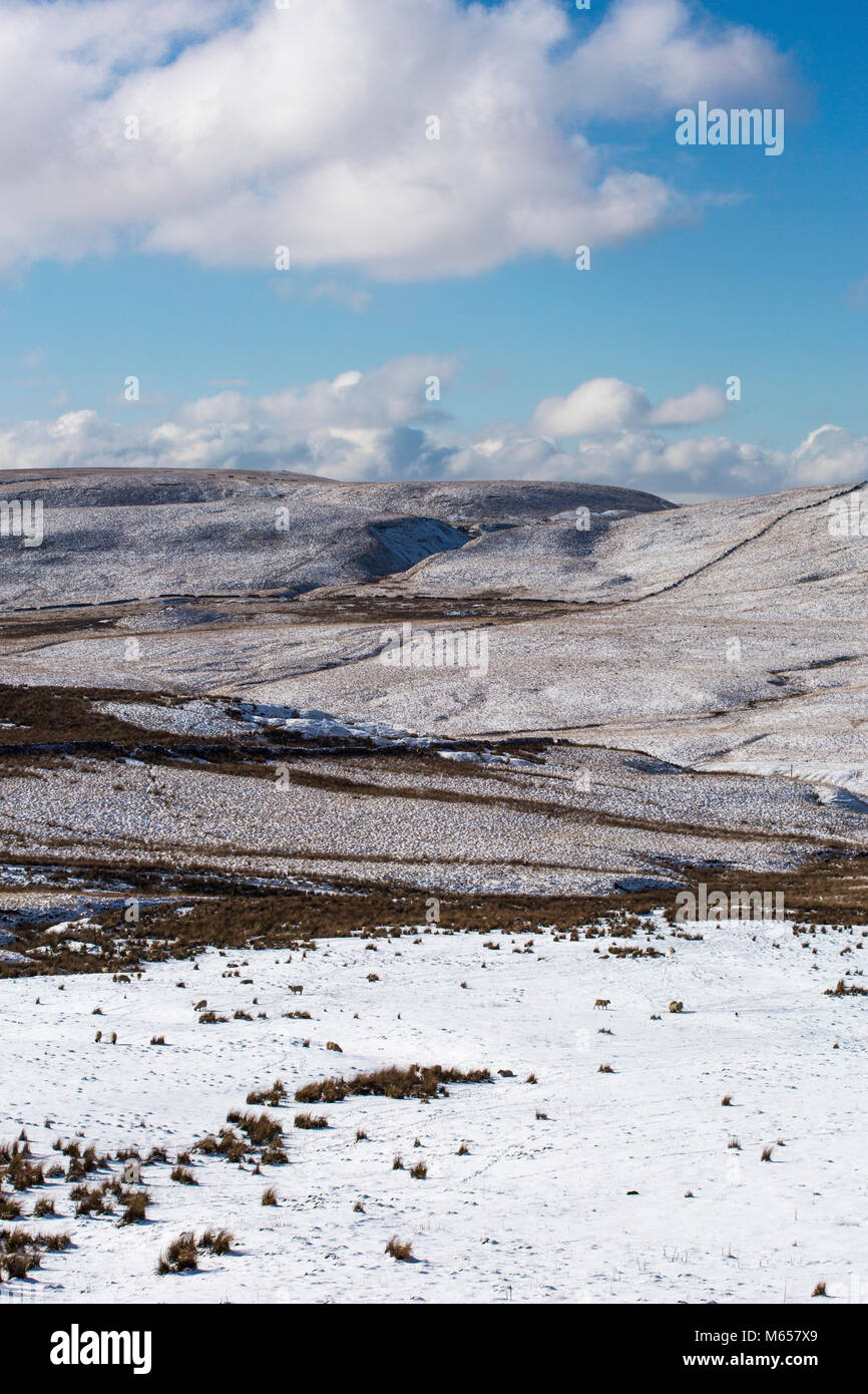 Darwen Moor, West Pennine Moors. Banque D'Images