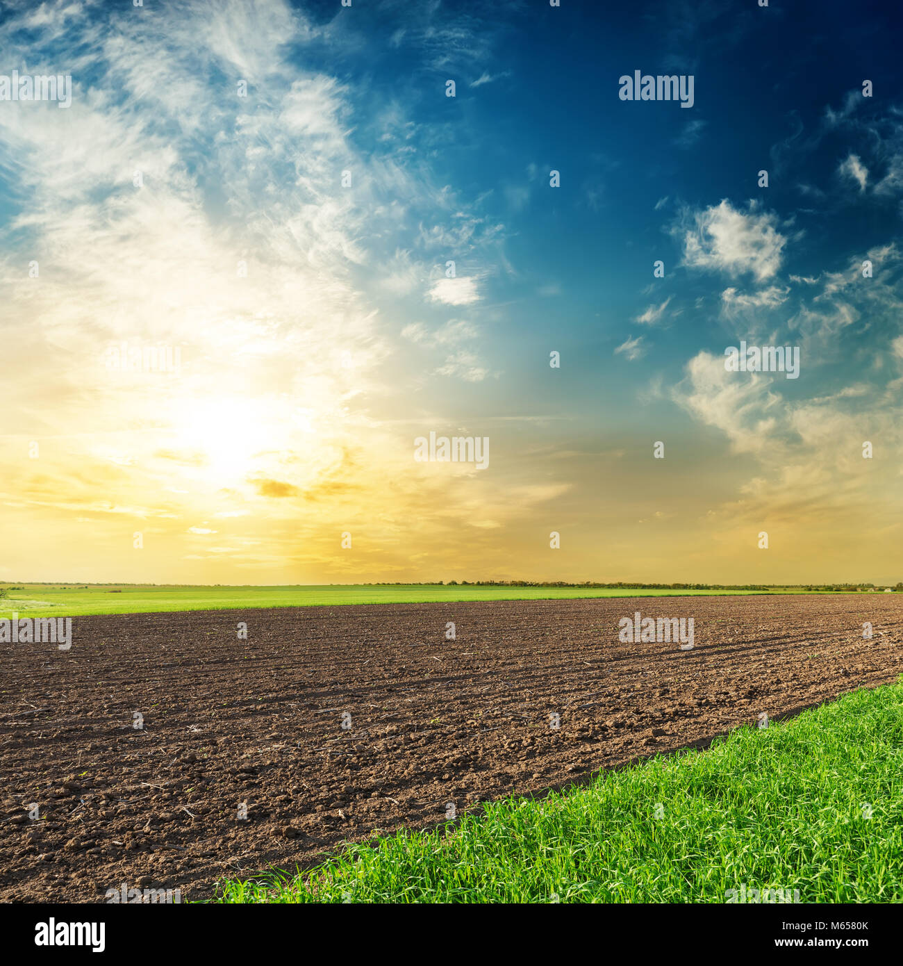 Noir et Vert l'agriculture champs dans le coucher du soleil. De cultures bio concept Banque D'Images
