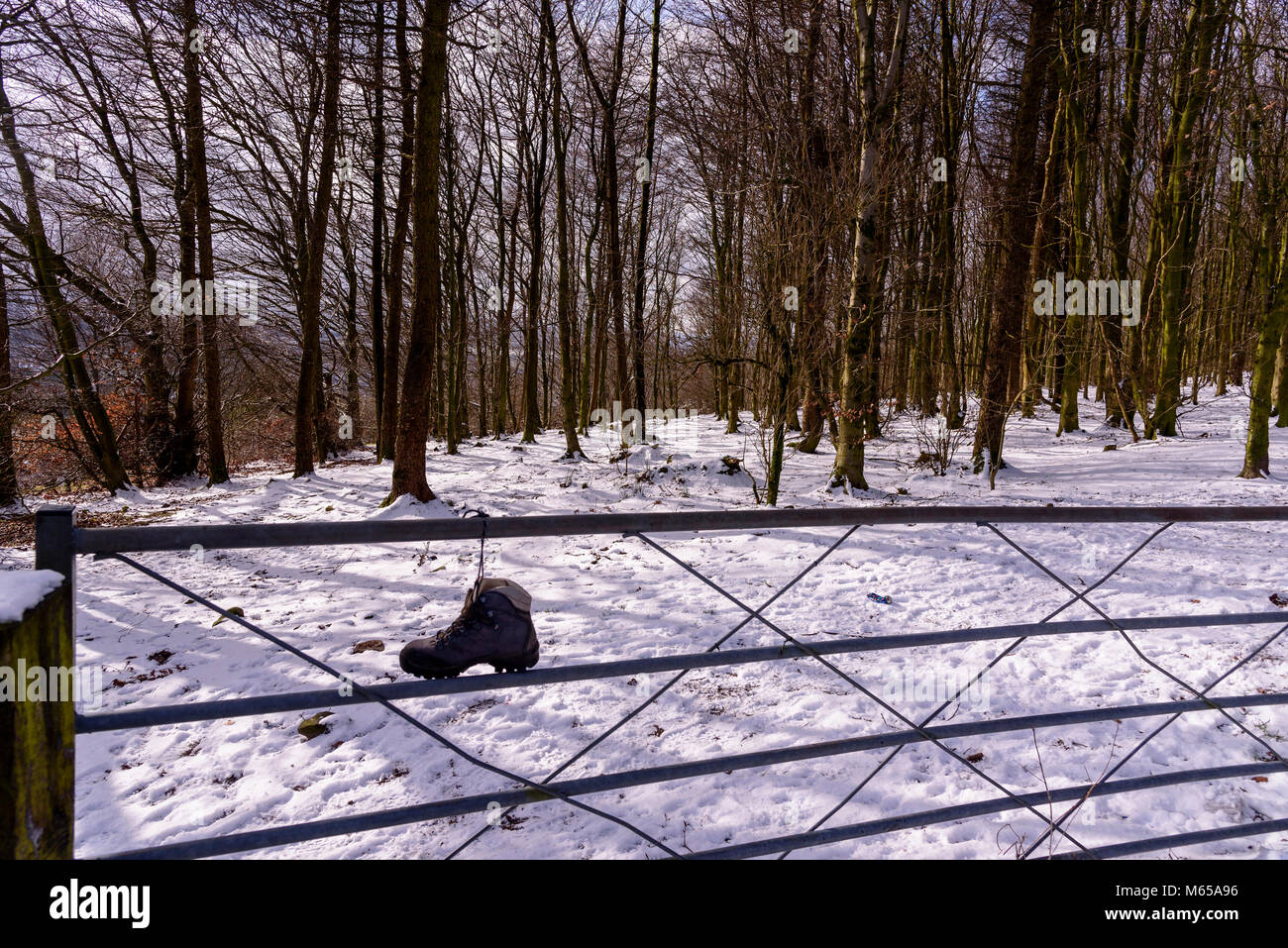 Snowscene neige Banque D'Images