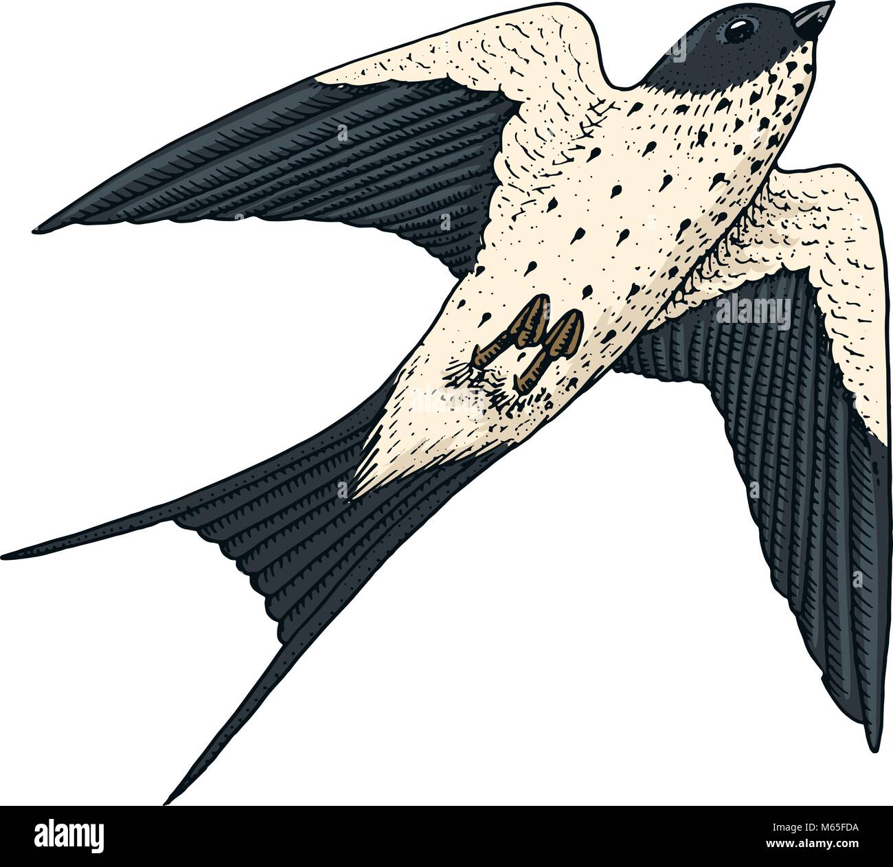 Petits Oiseaux De Lhirondelle Rustique Ou Merlette En