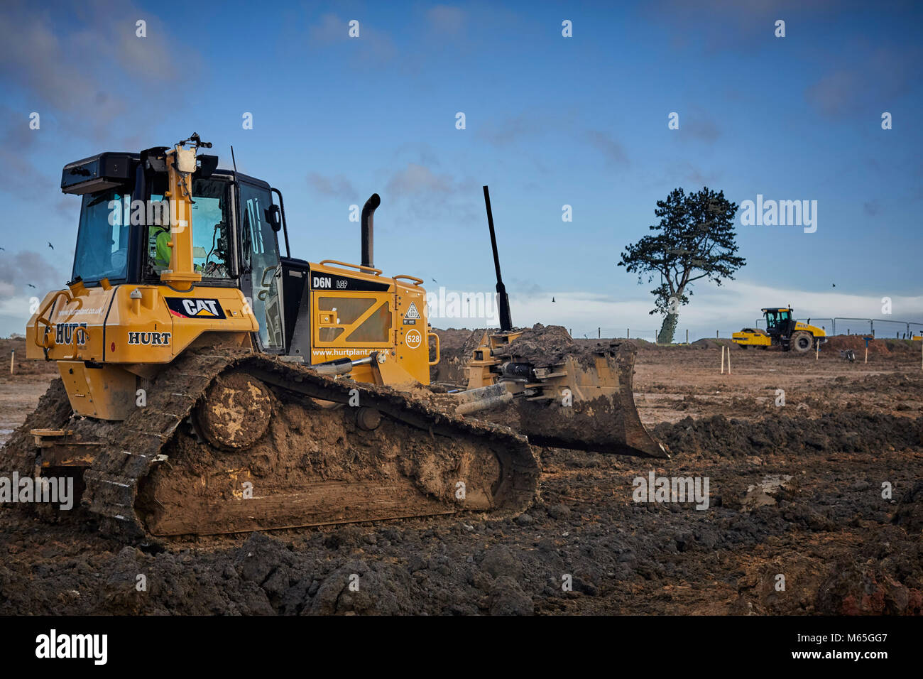 Les travailleurs de la construction d'essayer de sauver un arbre adulte qu'ils commencent à travailler sur un site Hillcrest Maisons et CPUK en Clitheroe, Lancashire. Banque D'Images