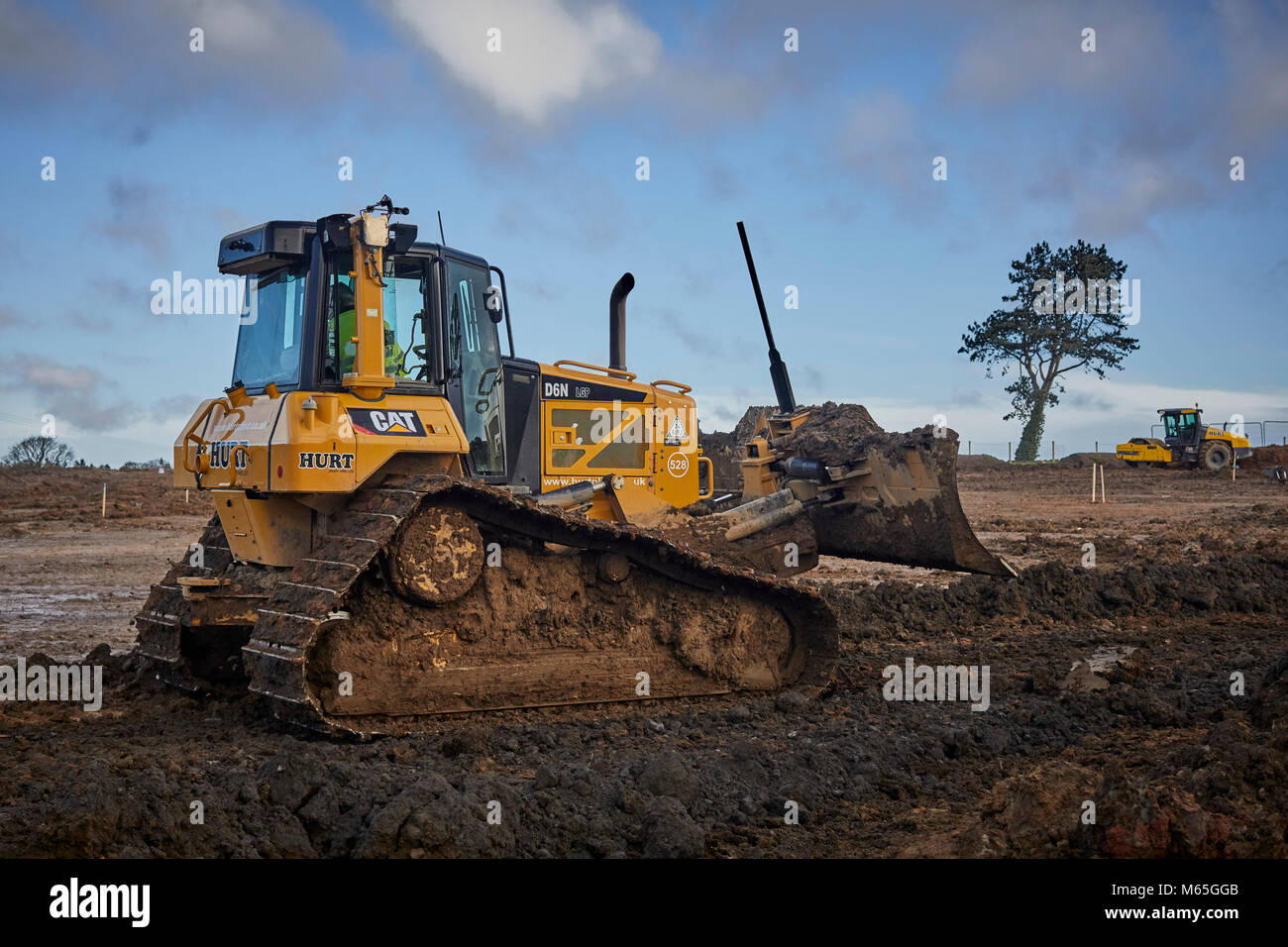 Les travailleurs de la construction d'essayer de sauver un arbre adulte qu'ils commencent à travailler sur un site Hillcrest Maisons et CPUK en Clitheroe, Lancashire. Banque D'Images