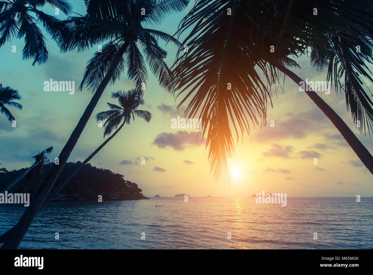 Plage de la mer tropicaux pendant le coucher du soleil, avec des silhouettes de feuilles de palmier. Banque D'Images