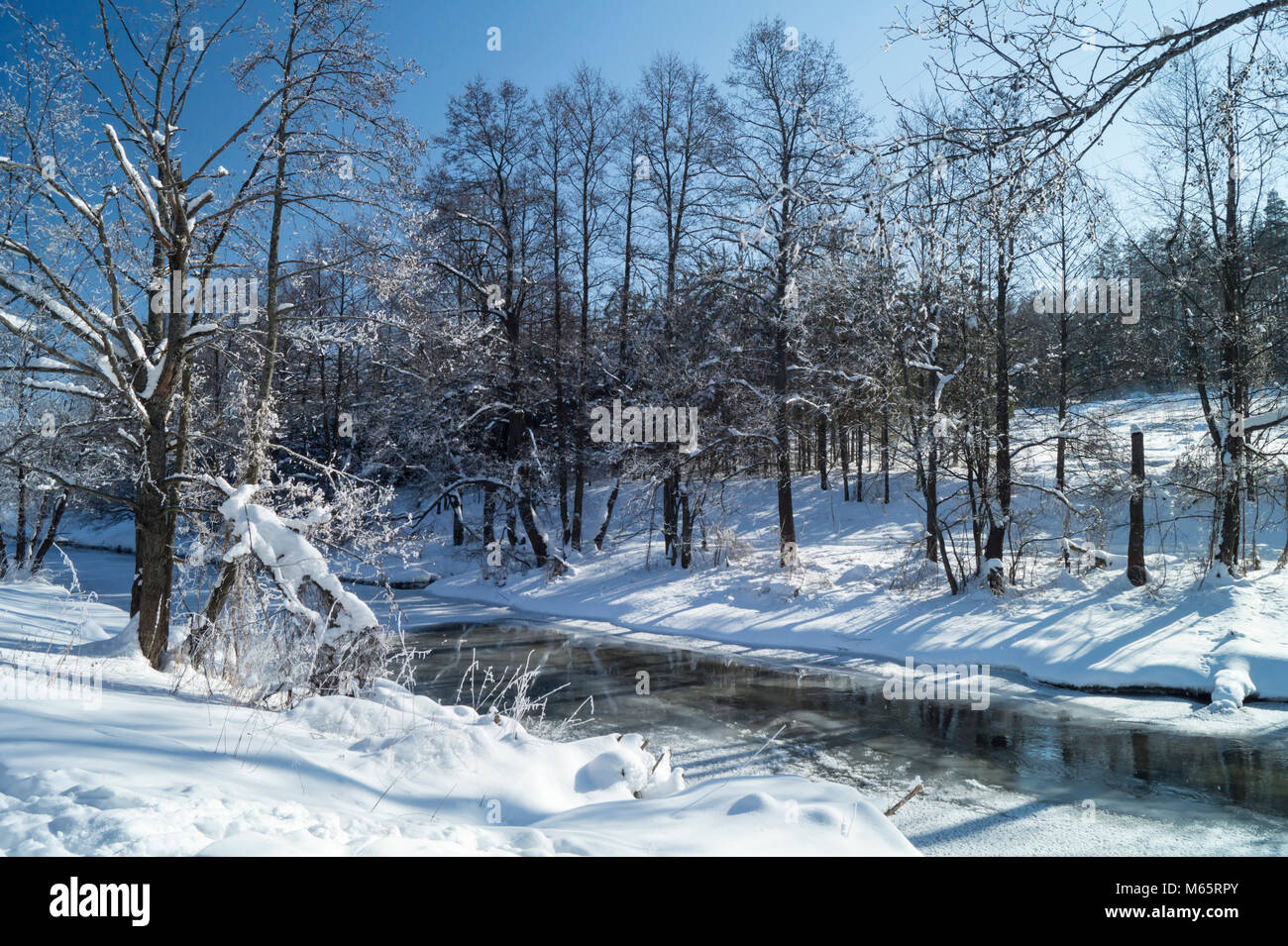 Paysage d'hiver avec petite rivière dans le bois sur fond de ciel bleu Banque D'Images