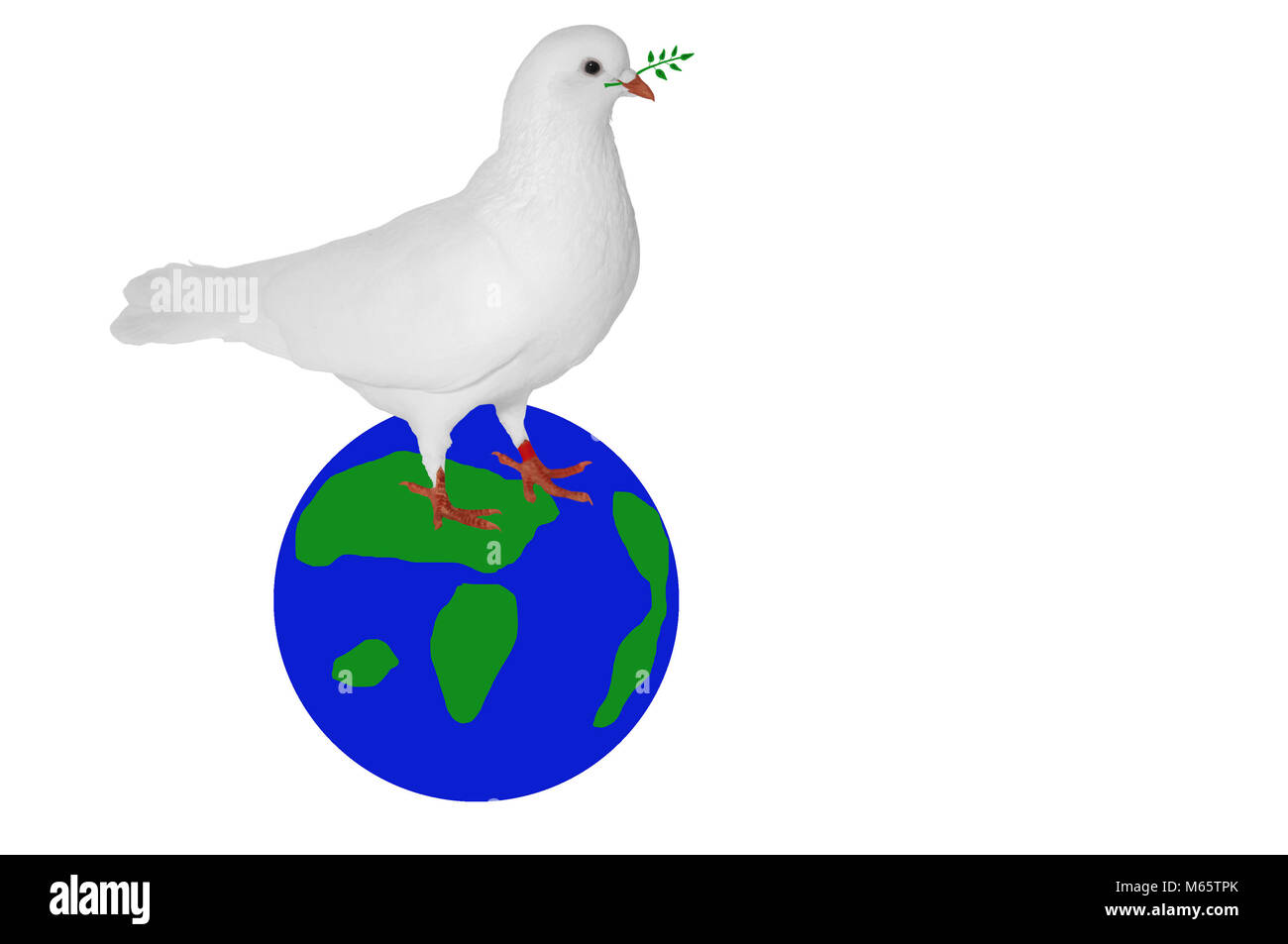 Une colombe blanche avec une brindille dans son bec vert est assise sur un ballon abstrait bleu-vert, semblable à une planète. Symbole de paix, de pureté et de l'écologie. Banque D'Images