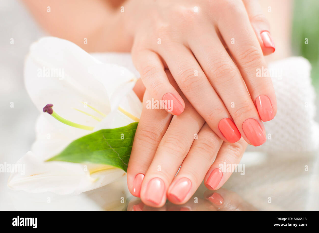 Concept de manucure. Le soin des mains au spa. Belle femme avec les mains  manucure parfaite au salon de beauté Photo Stock - Alamy