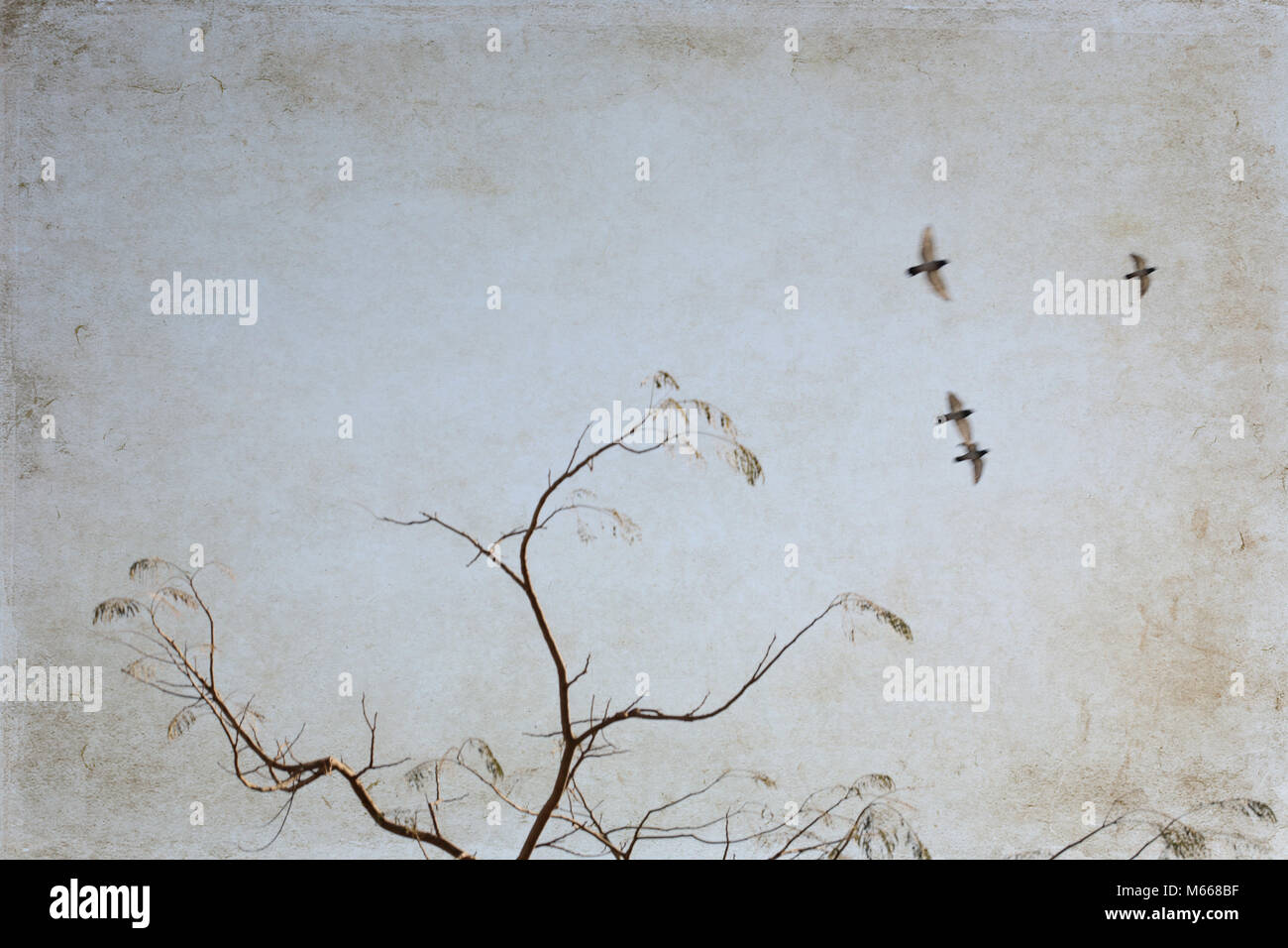 Illustrations de style rétro, les oiseaux en plein vol, arbre, ciel/ soft focus Banque D'Images