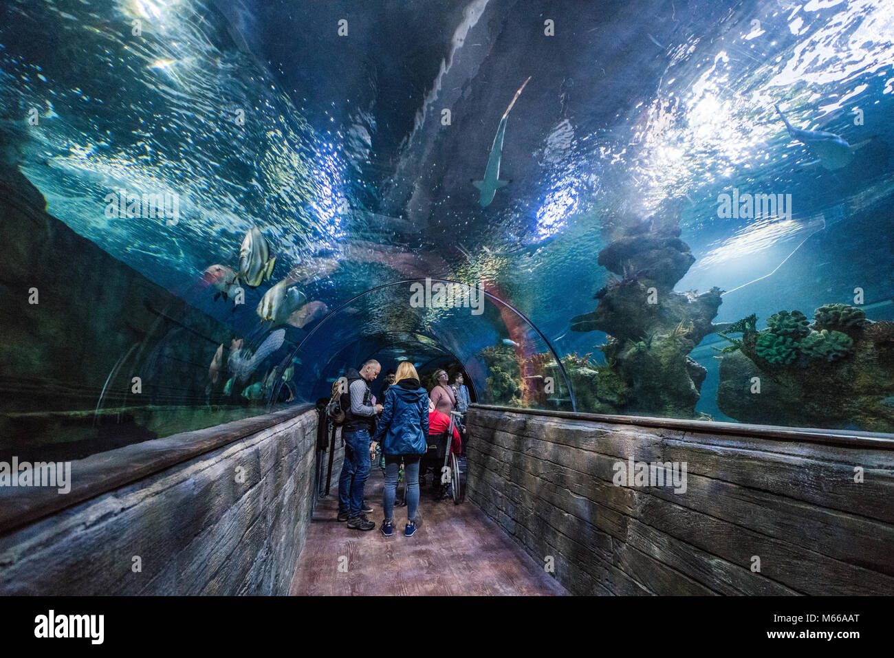Aquarium national de malte Banque de photographies et d’images à haute