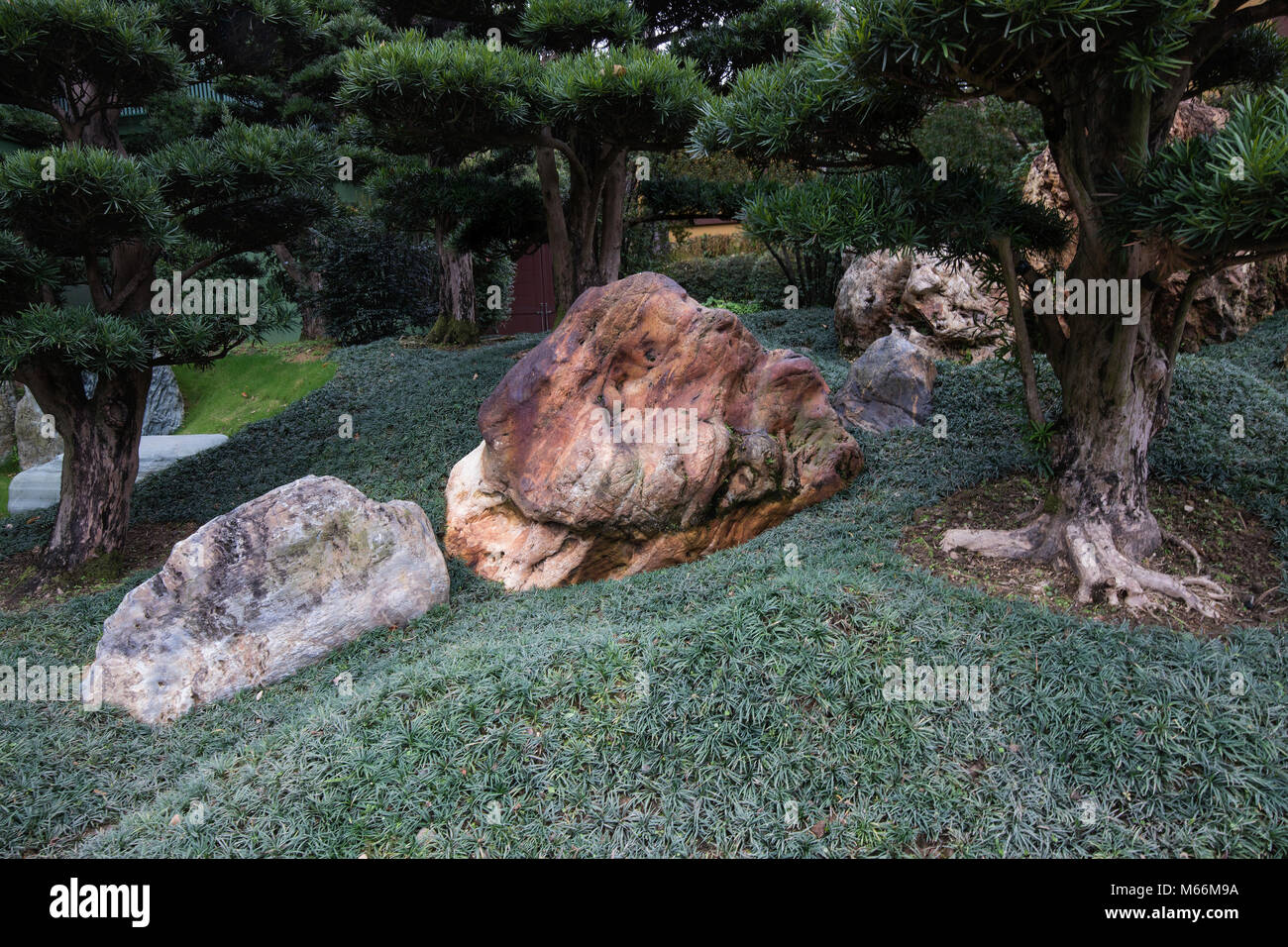 Nan Lian Garden est connecté à Chi Lin Nunnery. Bien que ce jardin chinois est assez nouveau, il dégage une ambiance intemporelle, malgré le fait qu'il Banque D'Images