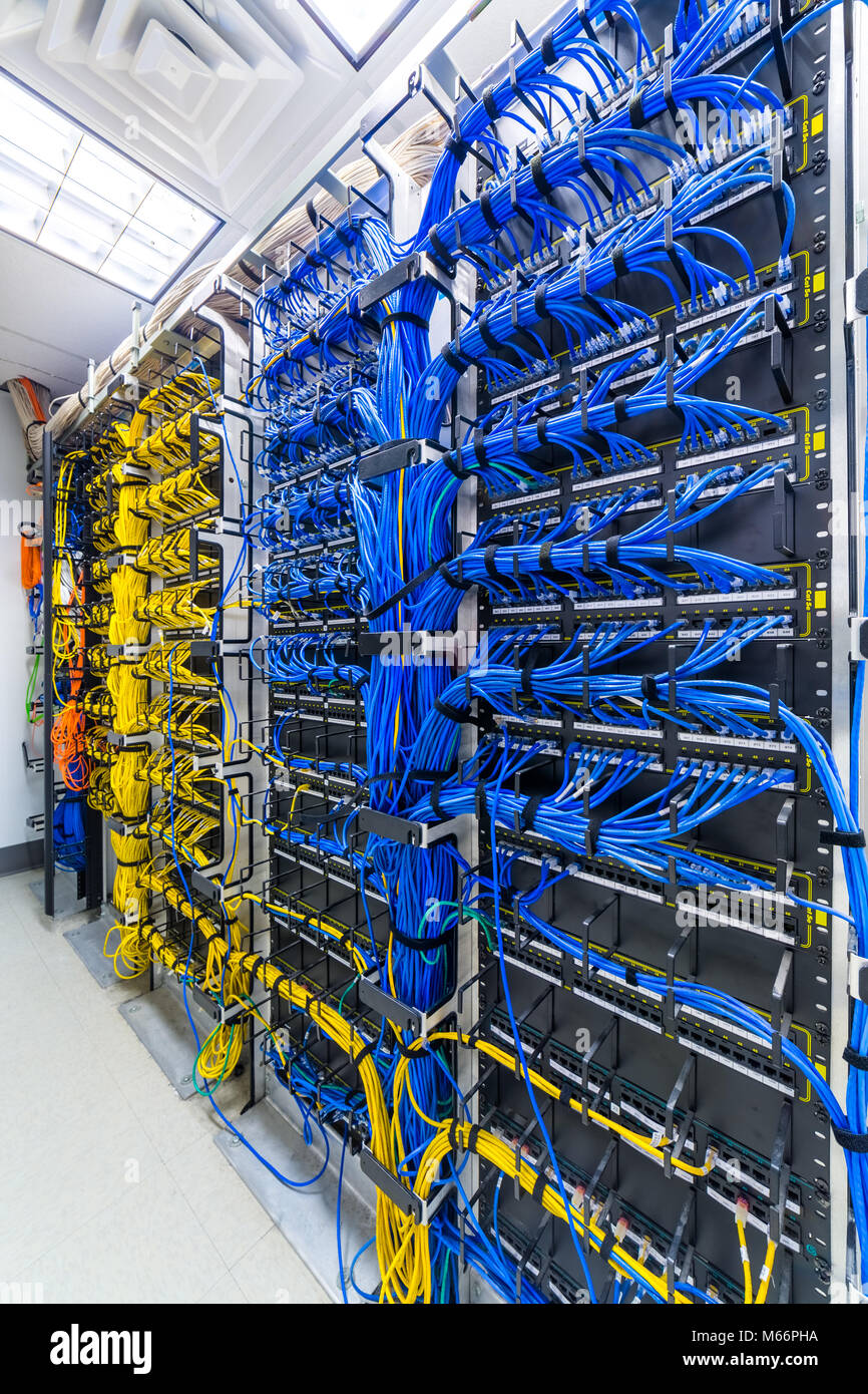 Générique rack avec des câbles CAT5e Ethernet, partie d'un grand centre de données d'entreprise. Banque D'Images