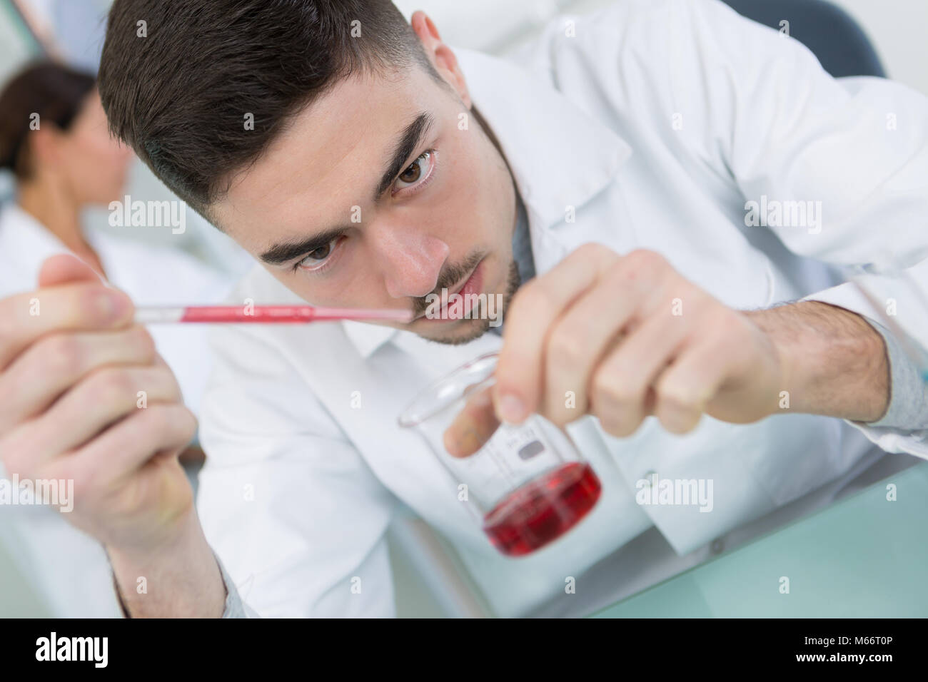 Dans la pipette microbiologie Laboratoire de génétique Banque D'Images