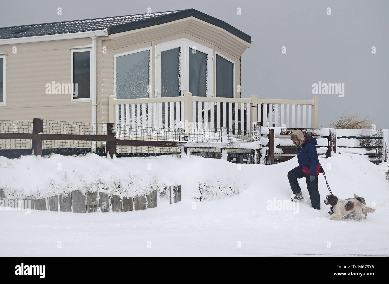 Une femme entre ses chiens dans Newbiggin-By-The-Sea dans la région de Northumberland, que storm Emma, roulant en provenance de l'Atlantique, semble prêt à affronter la bête de l'est fait froid Russie air - à l'origine de nouvelles chutes de neige généralisées et amer temperaturess. Banque D'Images