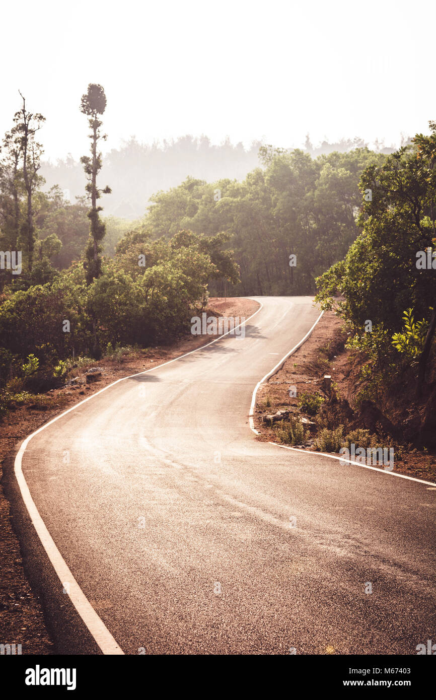 L'autoroute à travers la forêt de pays Banque D'Images