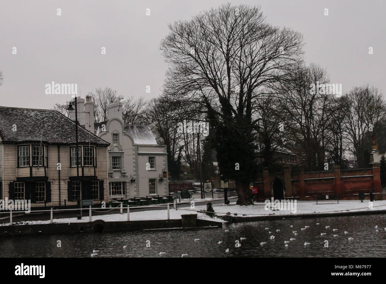 Carshalton, UK. 06Th Mar, 2018. que Storm Emma doit arriver en Angleterre en tout temps, la forme de la bête l'Est a fait des ravages en Angleterre, un gris et blanc très froid jour dans le sud de Londres, Carshalton Park, où l'oiseau ne semblent pas la peine par le gel, ni n'a peu de marcheurs et un père et sa fille qui sledged heureux dans le parc@Paul Quezada-Neiman/Alamy Live News Crédit : Paul/Quezada-Neiman Alamy Live News Banque D'Images