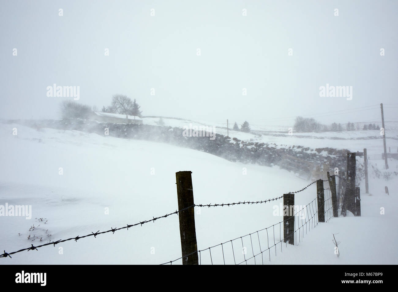 Nidderdale, Yorkshire du Nord. 1er mars 2018. Vive les vents d'est pile dans la neige soufflée faisant de l'agriculture difficile dans Nidderdale, Yorkshire du Nord Crédit : Fencewood/Studio/Alamy Illustration Live News Banque D'Images