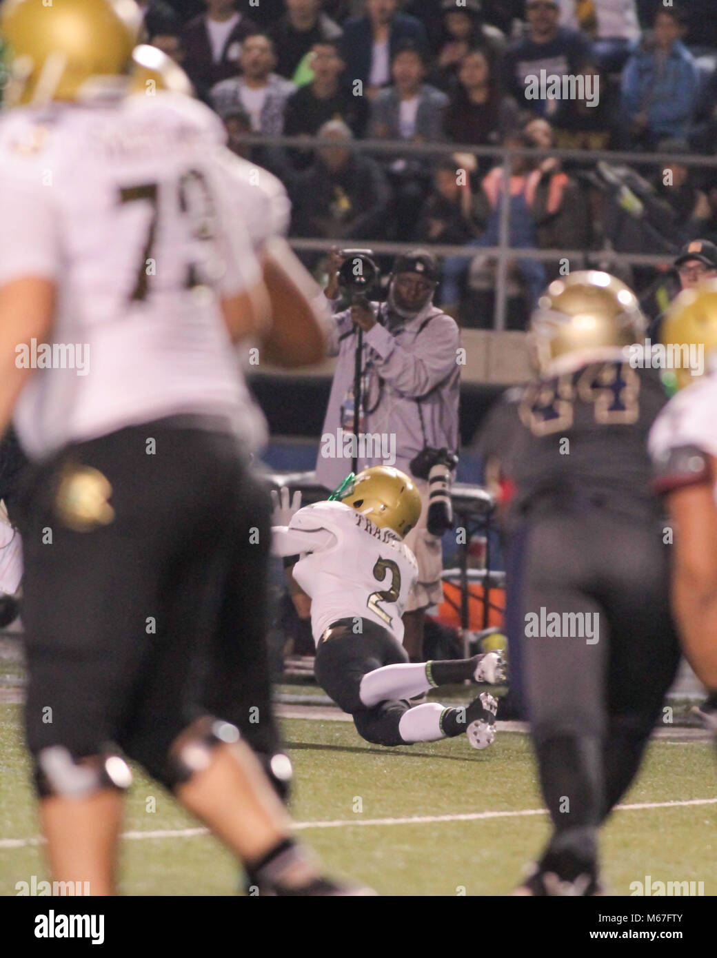 Le 28 novembre 2014, Norwalk CA.Quarterback Josh Rosen jouant dans High School en Californie en séries Football entre Long Beach Poly vs St Jean Bosco Braves à Cerritos College le 28 novembre 2014. (Photo par Jevone Moore) Banque D'Images