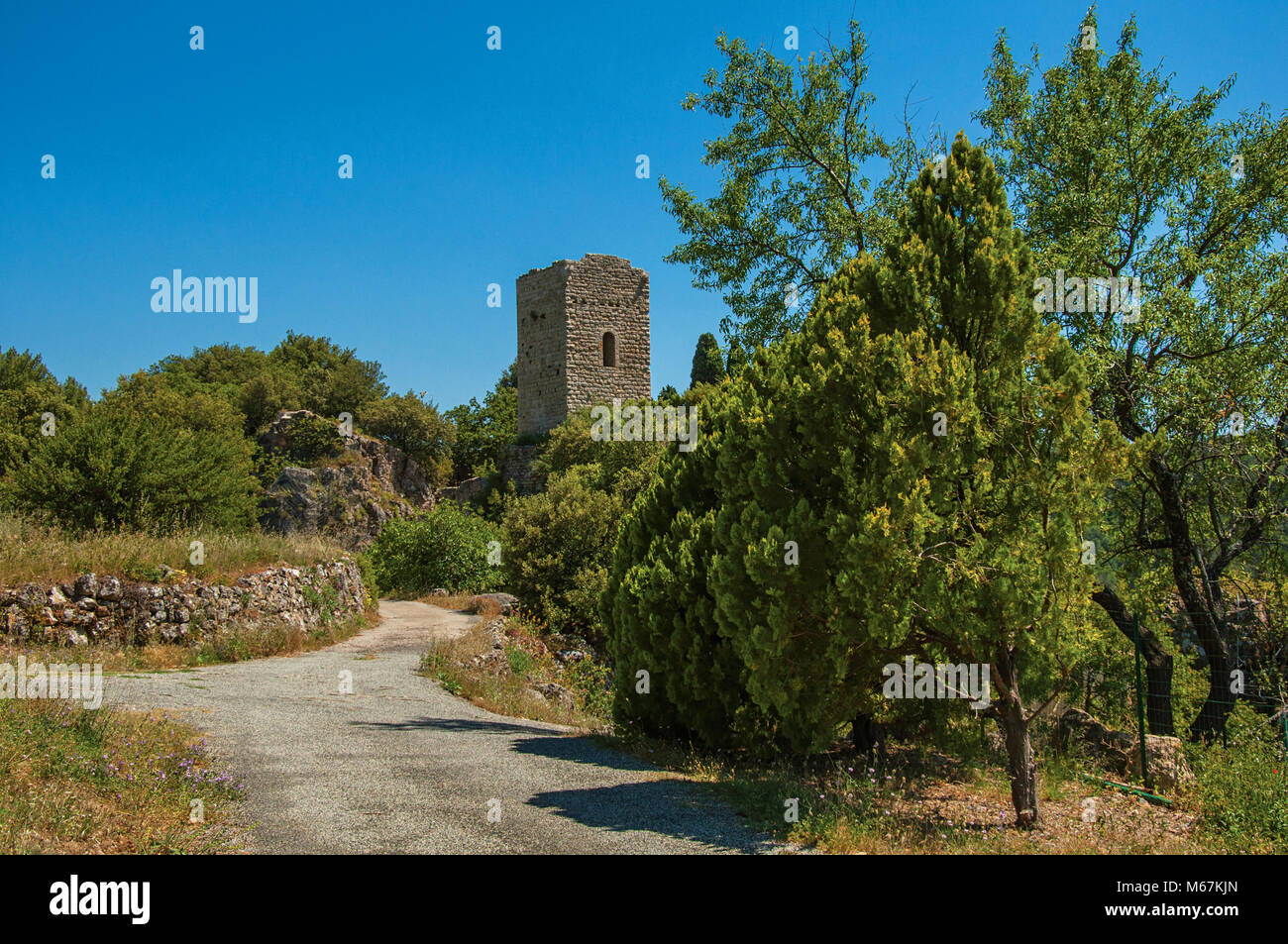 Vue de la tour en haut de la colline et le chemin à l'arbre près de Chateaudouble, un village calme avec origine médiévale. Région de la Provence, dans le sud-est de la France. Banque D'Images