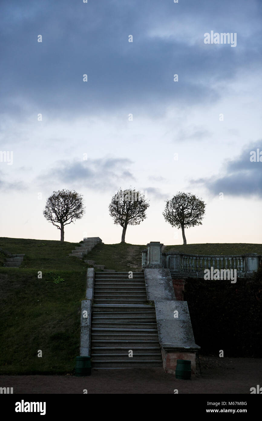 L'échelle pour les arbres, le ciel, mystiquement, la solitude dans la société, le chemin du ciel, des âmes sœurs, silhouettes automne, coucher de soleil, adieu. Nature, Paysage d'automne Banque D'Images