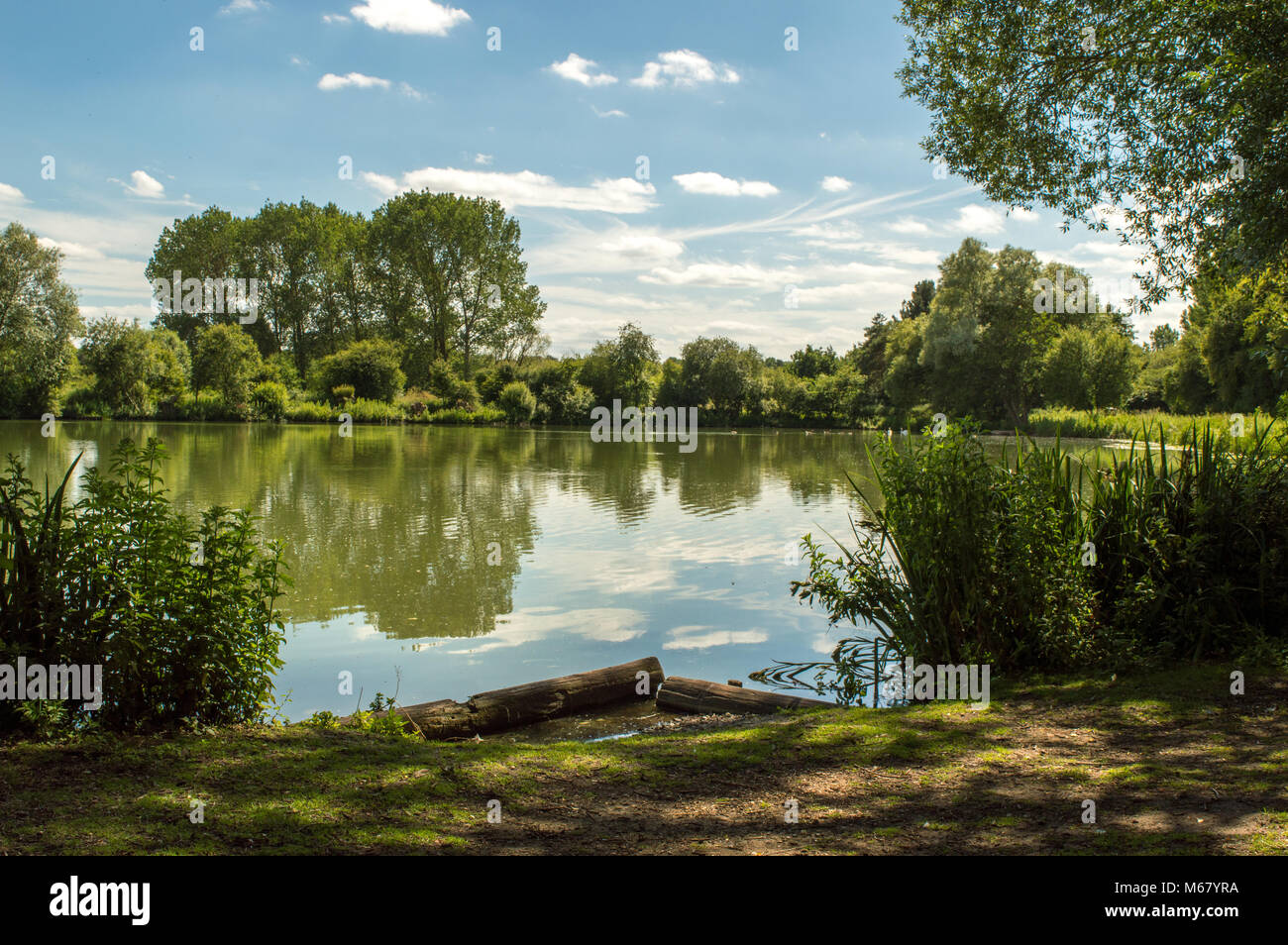 West Stow Lake au cours de l'été Banque D'Images